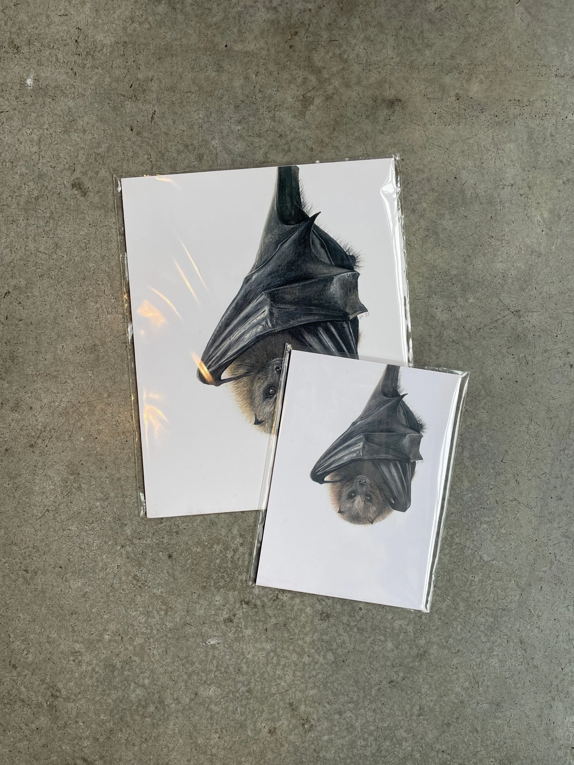 flying fox - prints