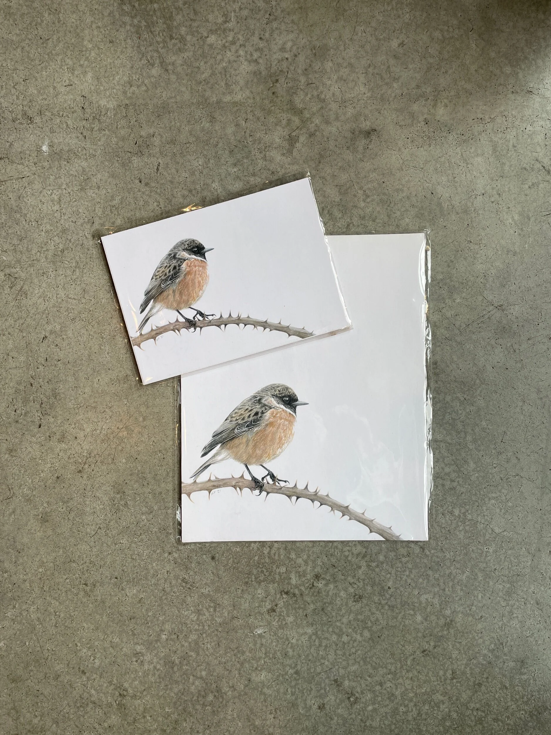 D768095B-E6E8-49D2-AEFD-18CF12B89A2A