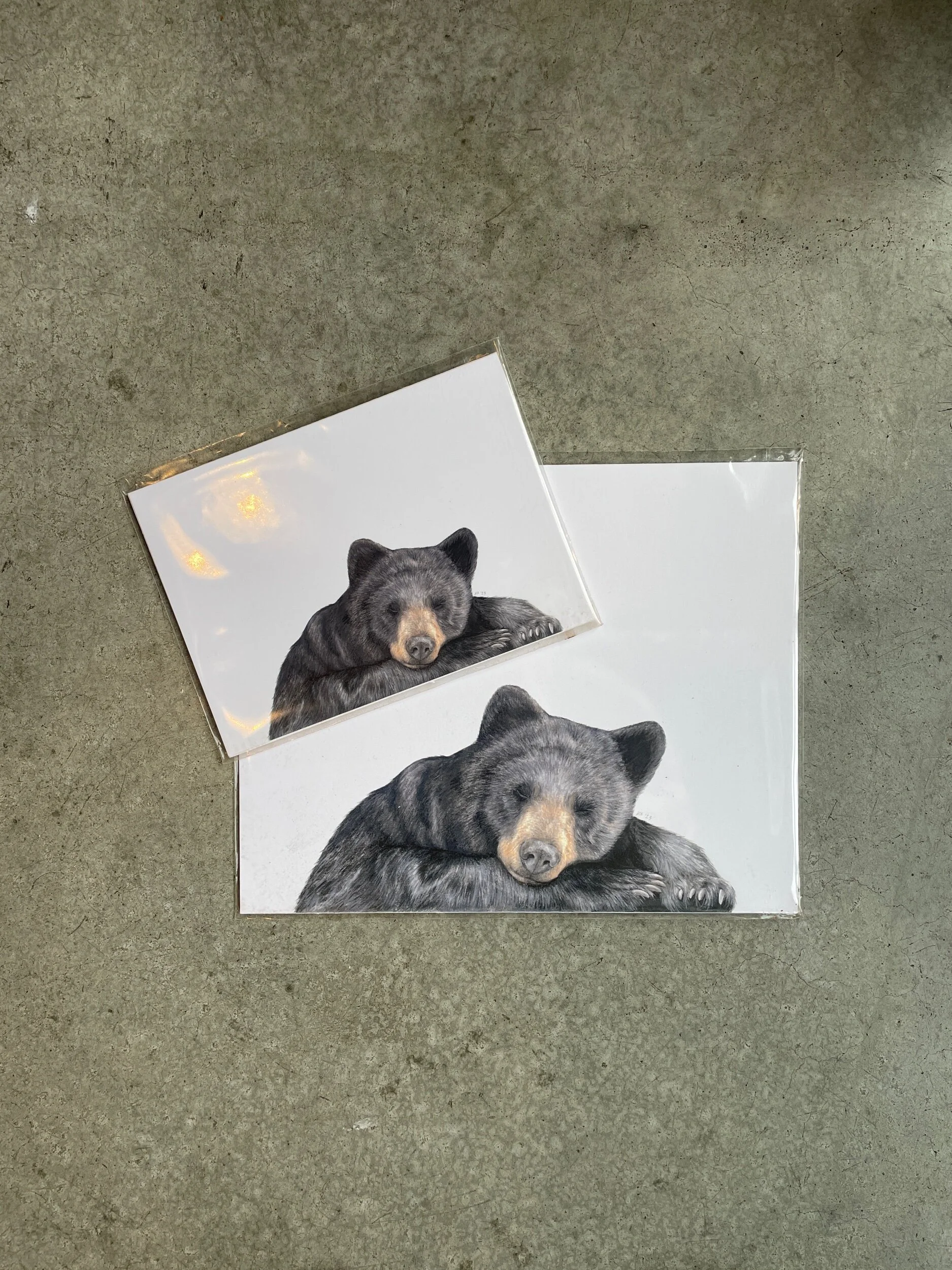 63EAC423-D80A-47B1-BAFA-ABA331DD7E2C