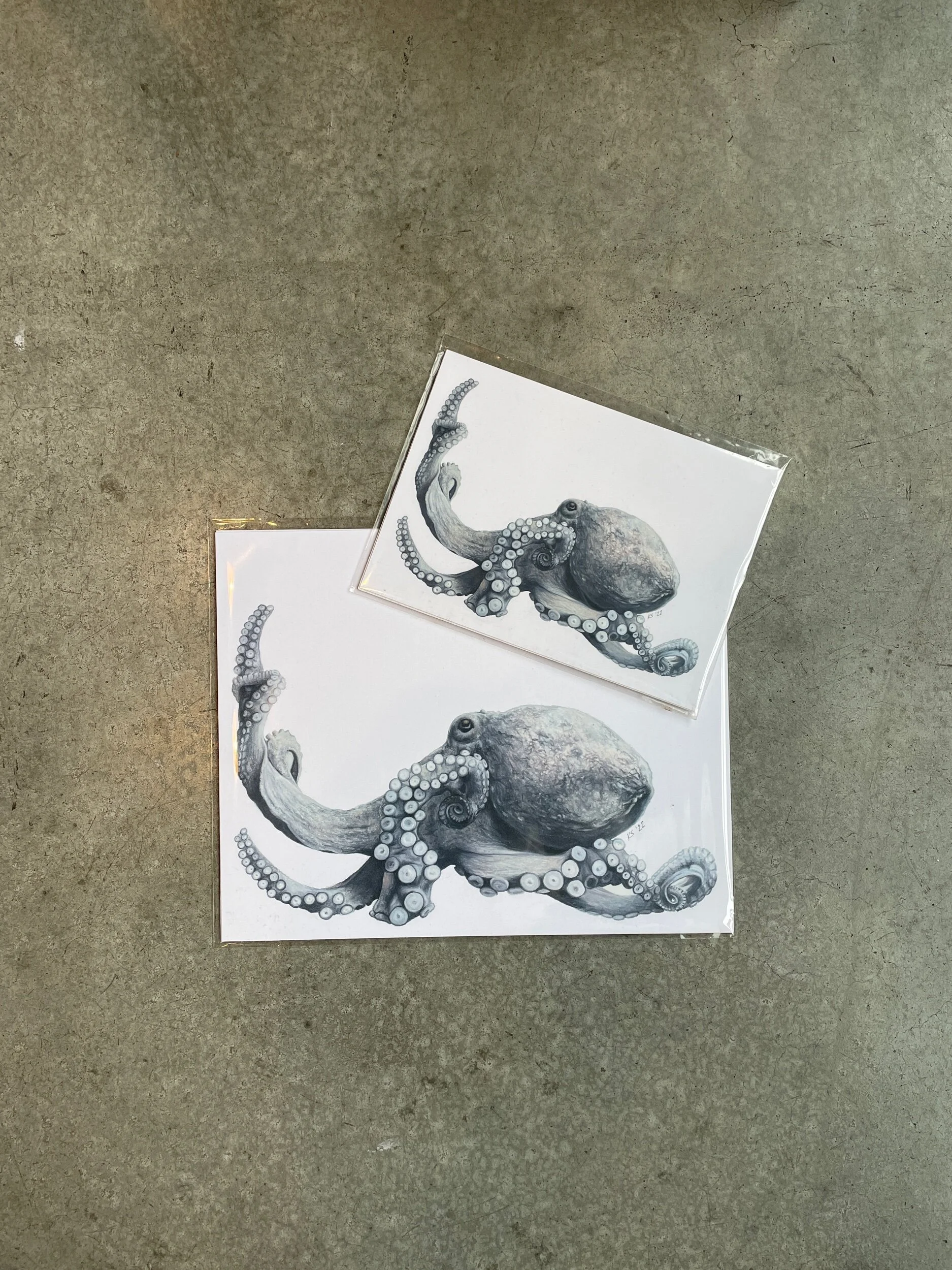 62B0752F-B7F7-4D15-A3C5-DB89B8816F0A