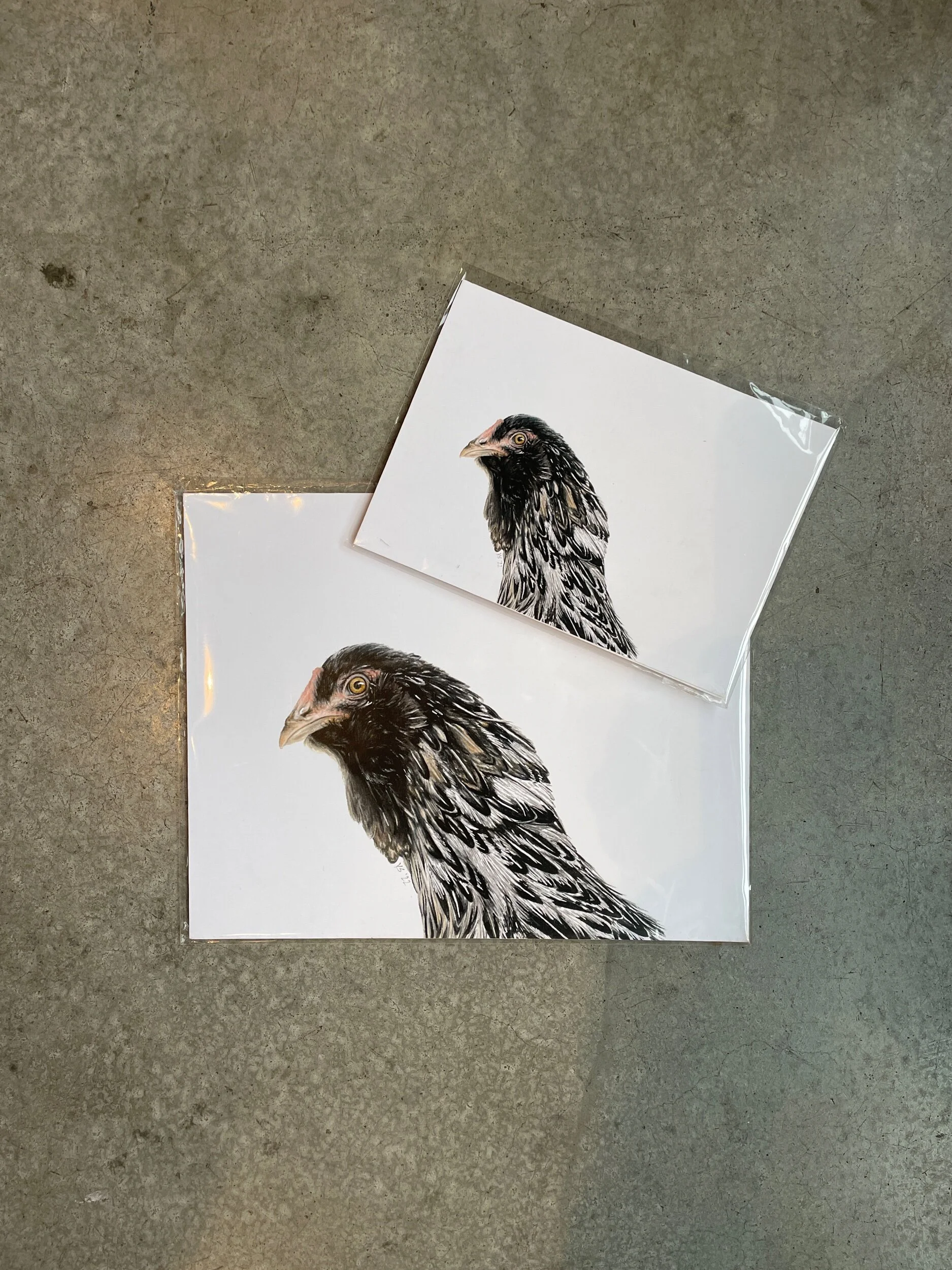 chicken - prints