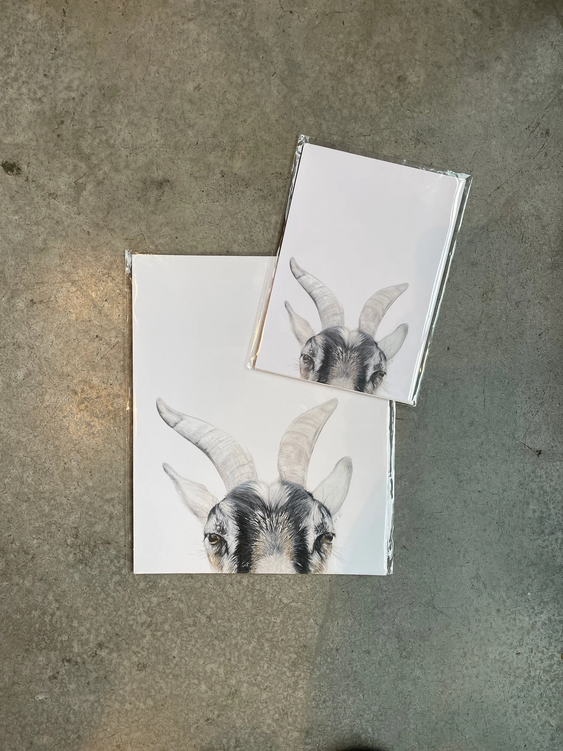 EED32213-2CFE-4F0E-AEC2-9A67B3437BD5