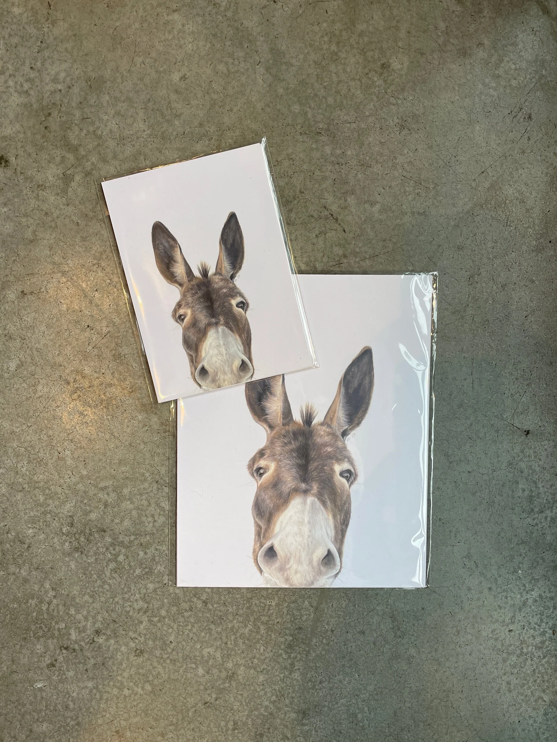 2C654333-819E-4FCF-ACF1-2FC82A605F43