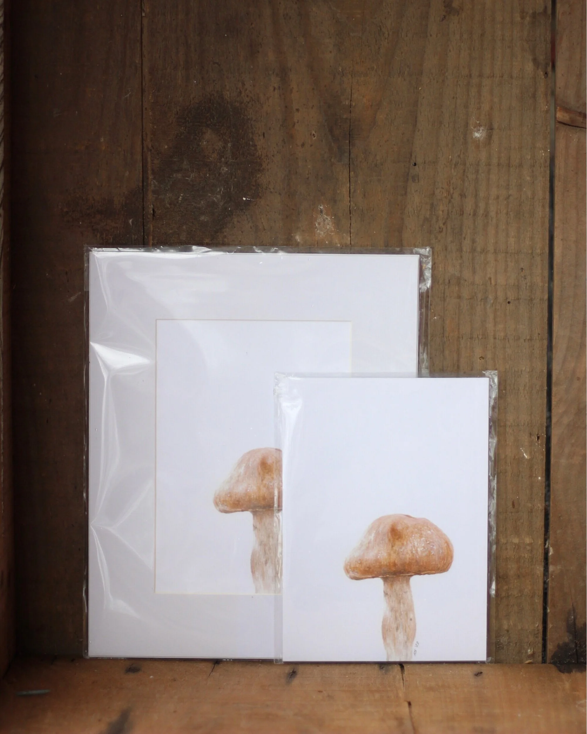fungi no. 4 - prints