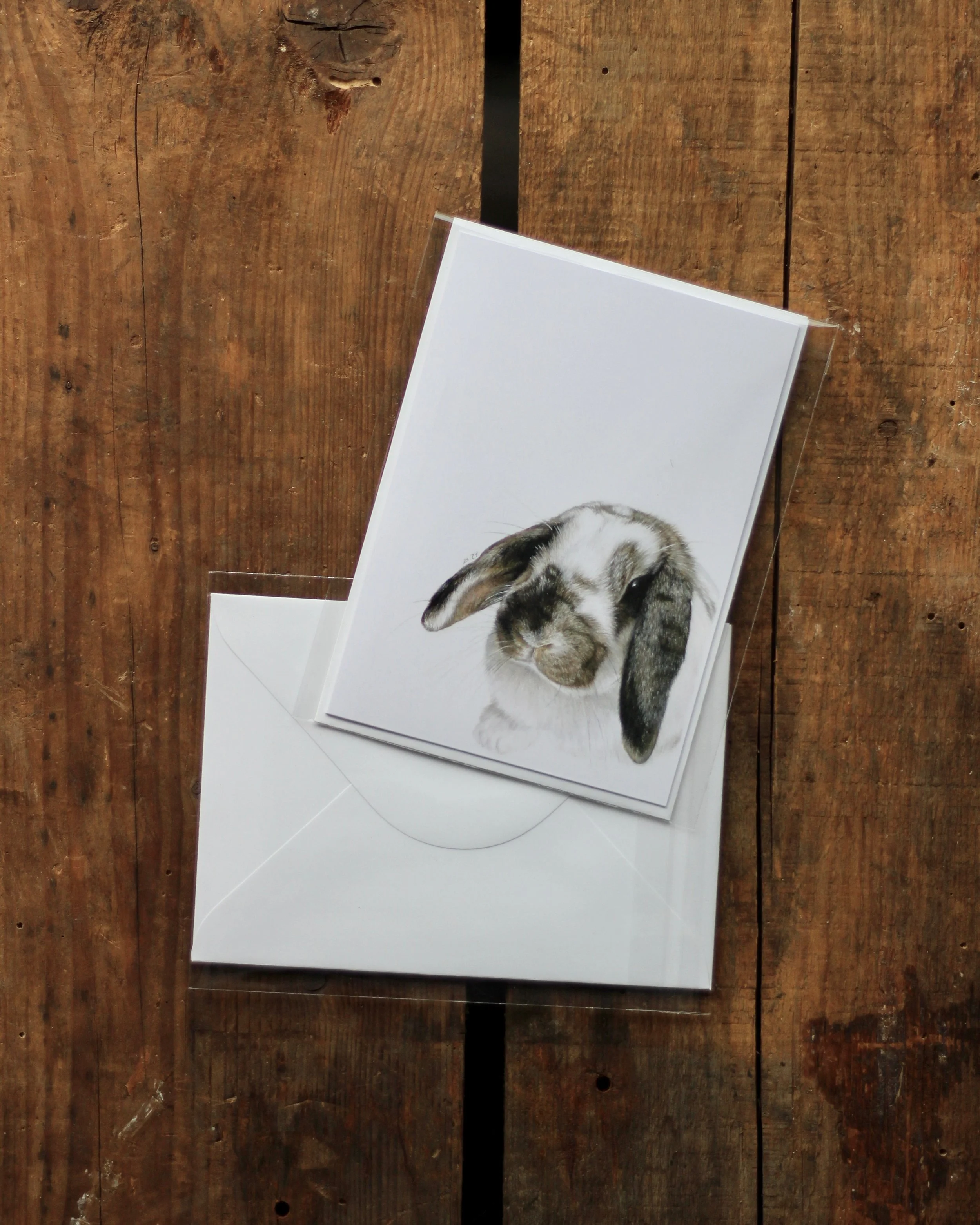 bunny - notecard