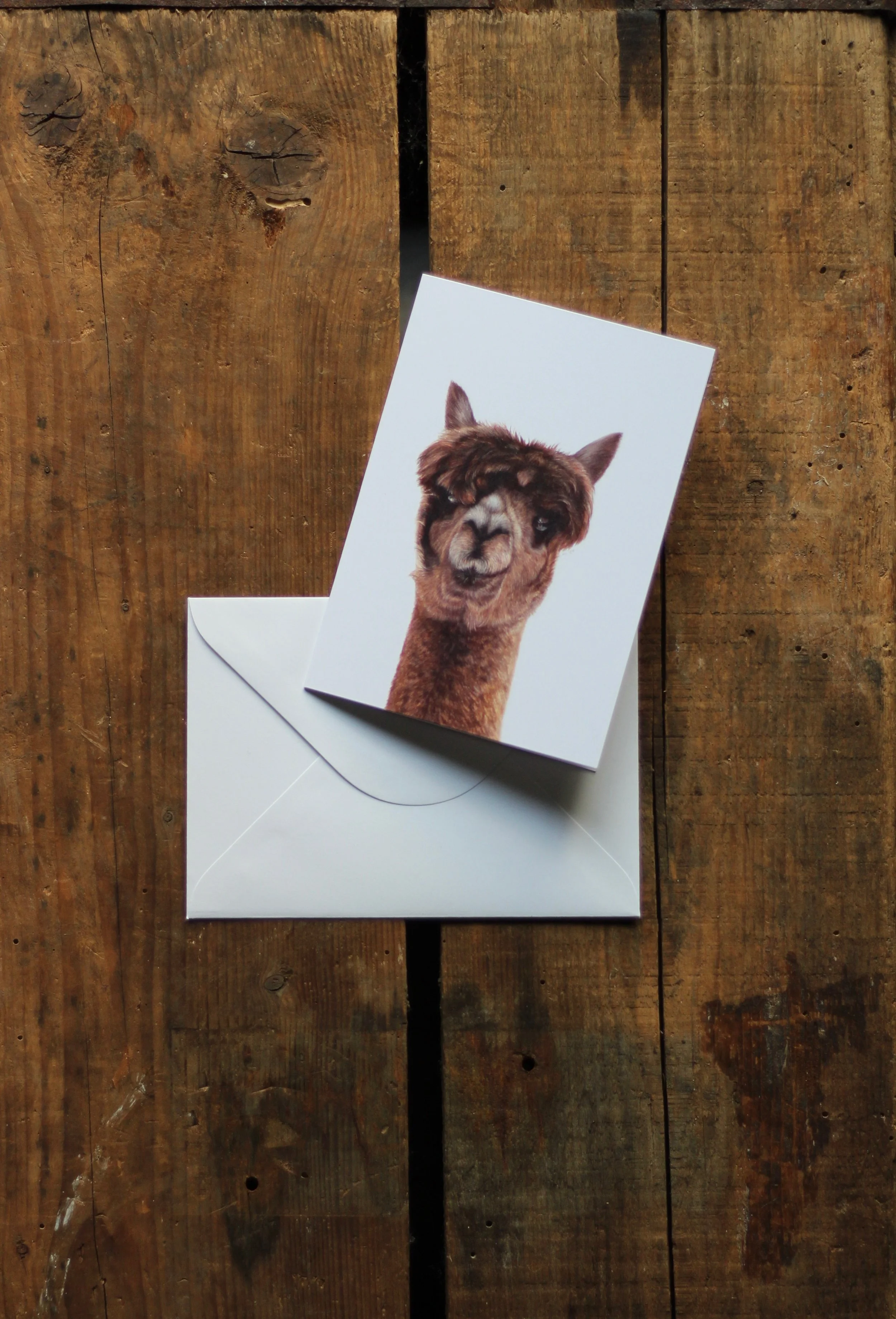 alpaca - notecard