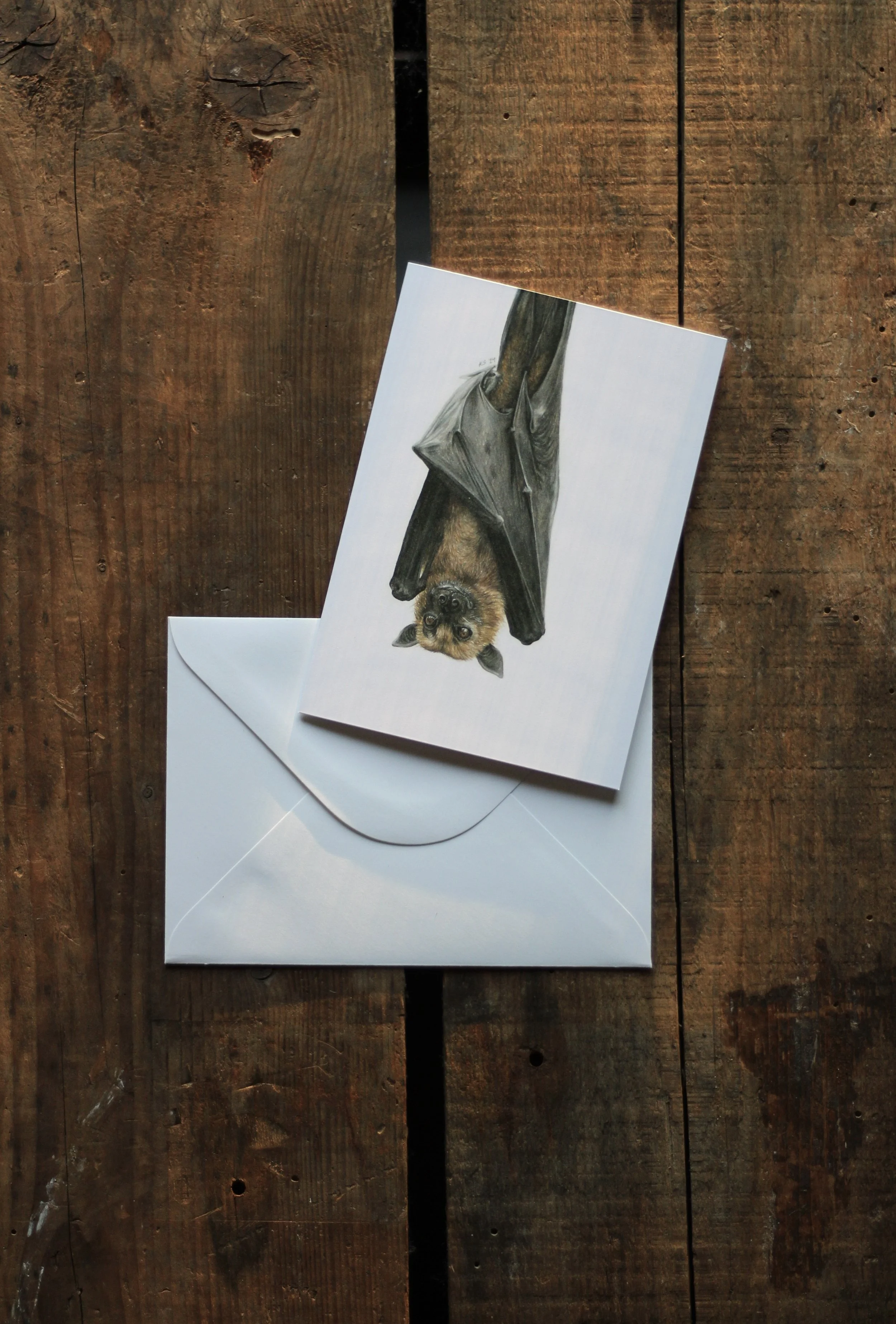 fruit bat - notecard