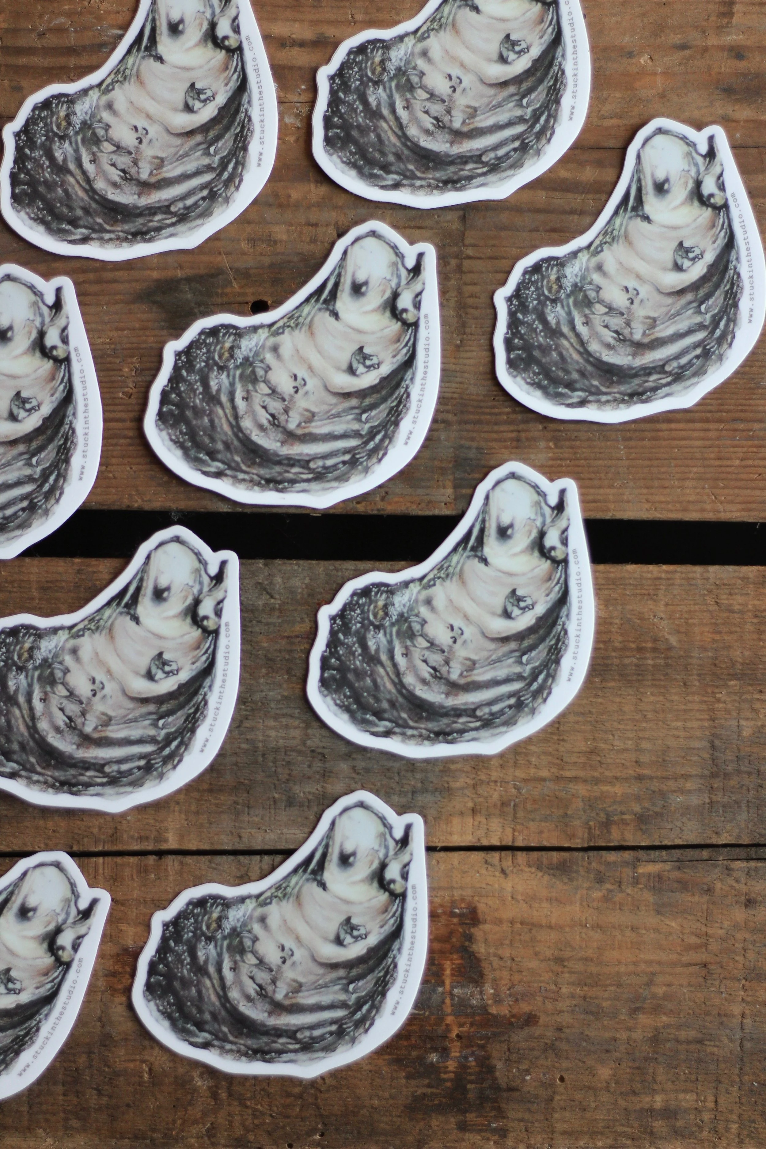 oyster - sticker