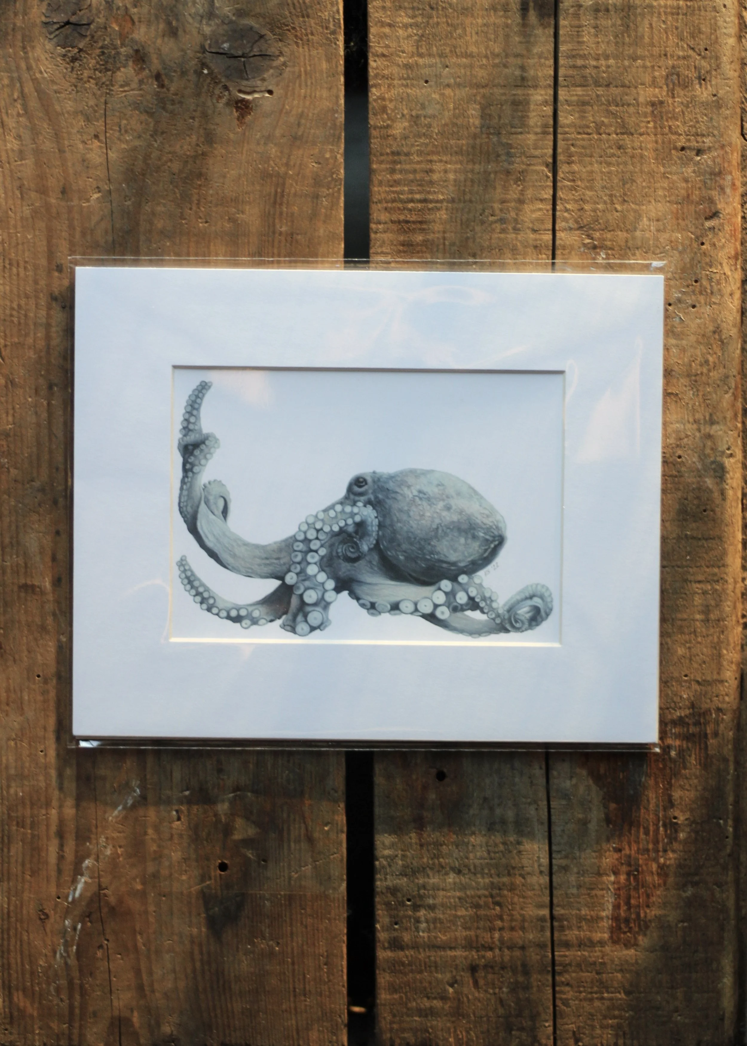 octopus - prints