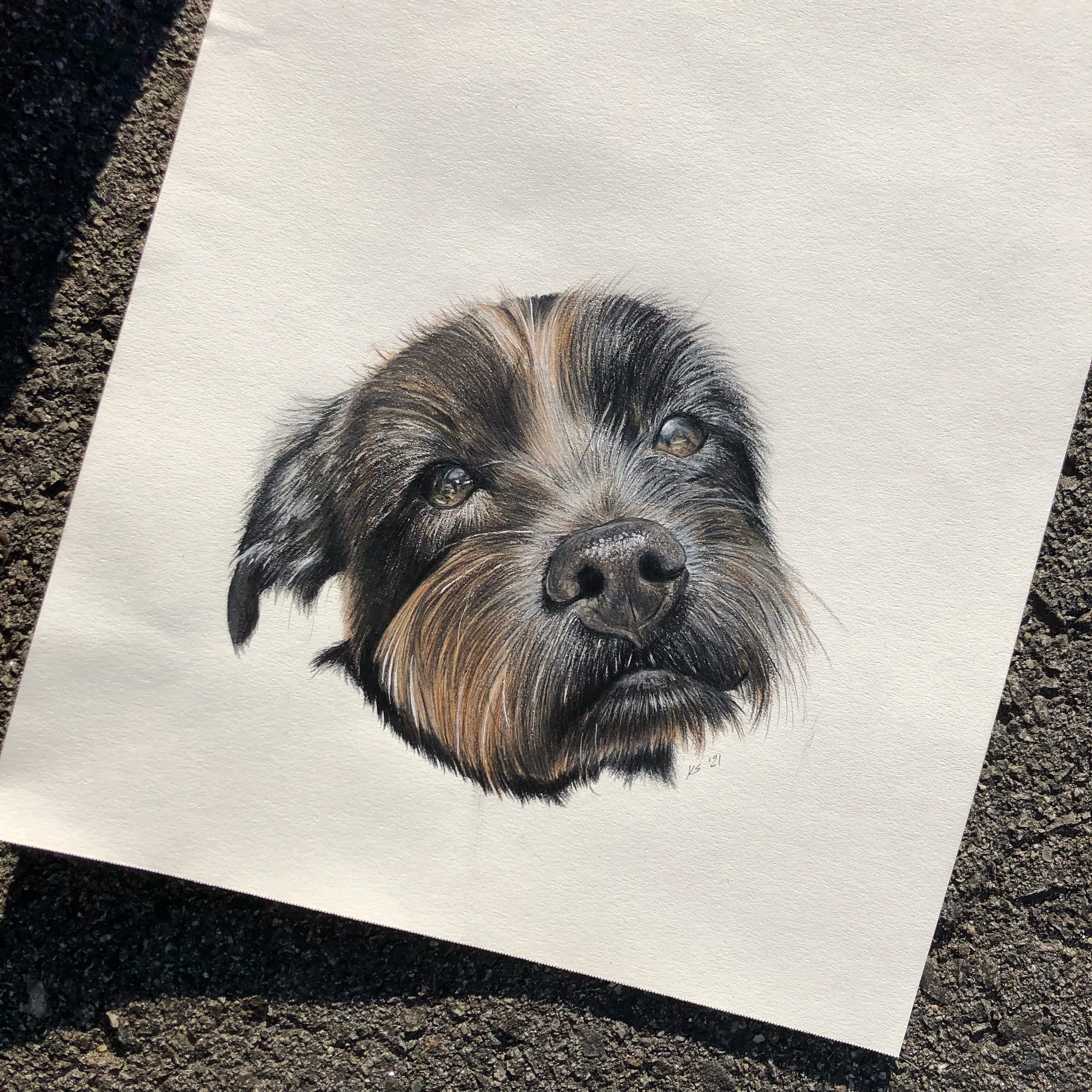 custom pet portrait (single)