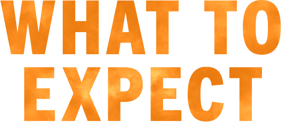 what to expect - text