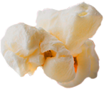Close-up of vanilla ice cream scoops