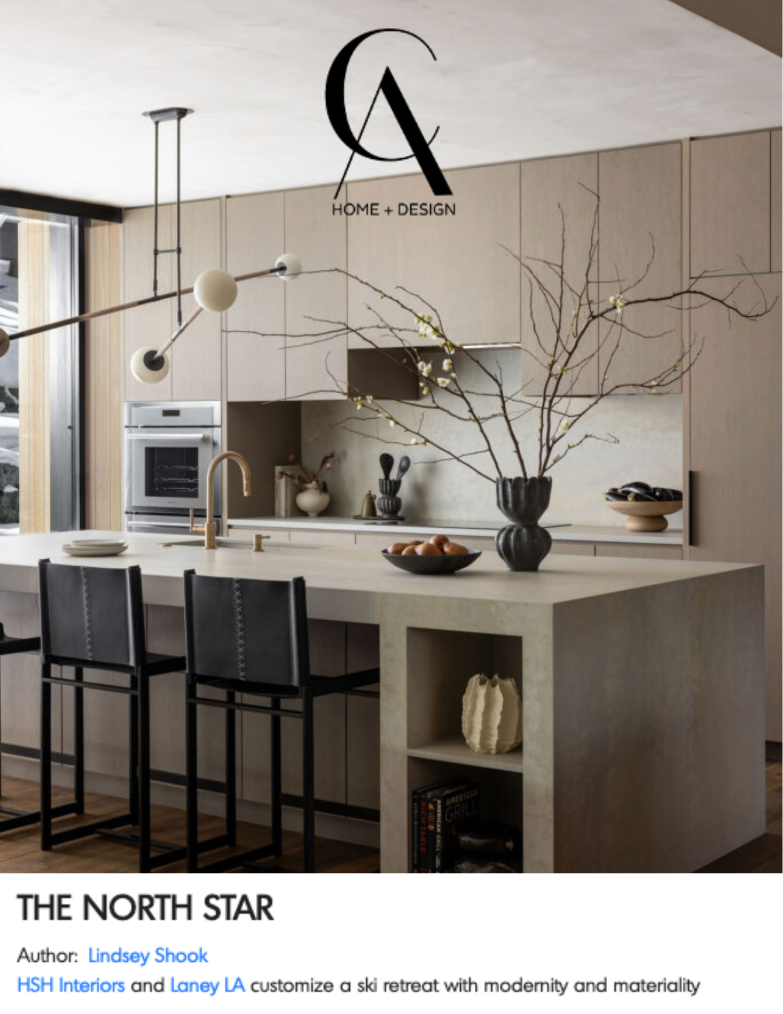 CHD feature silver fox.png