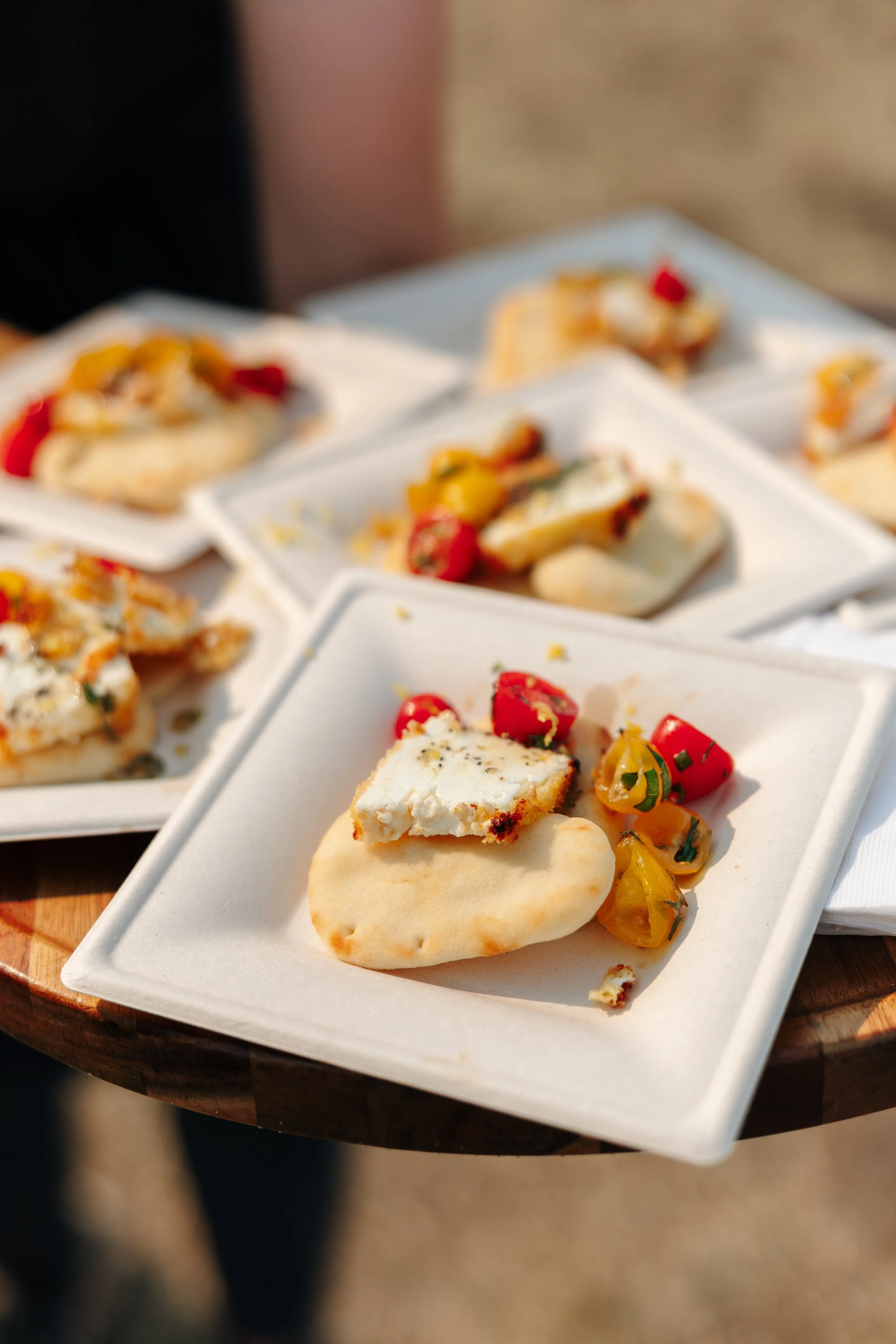 Anna and Pierce_ Cocktail Hour-47.jpg