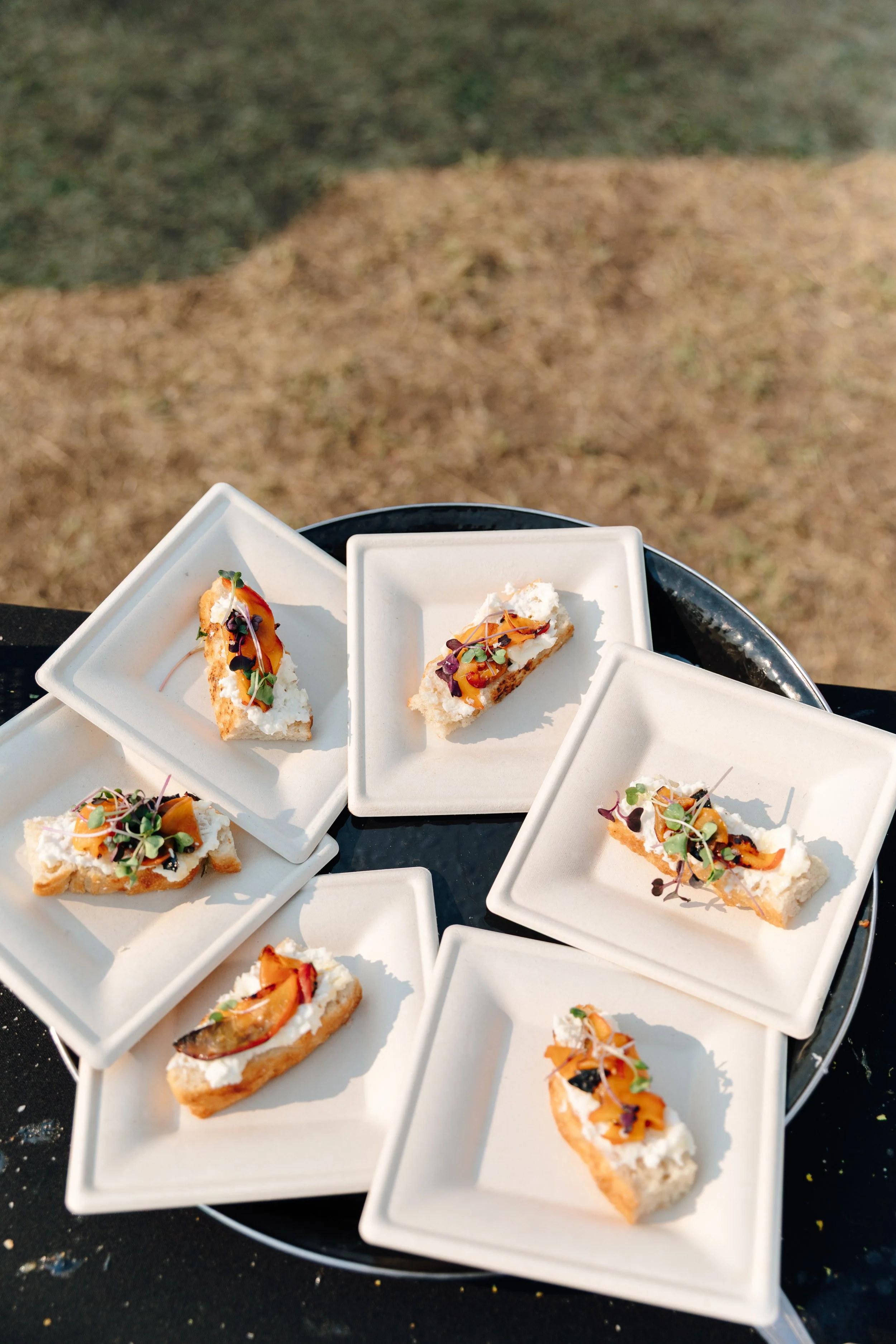 Anna and Pierce_ Cocktail Hour-40.jpg