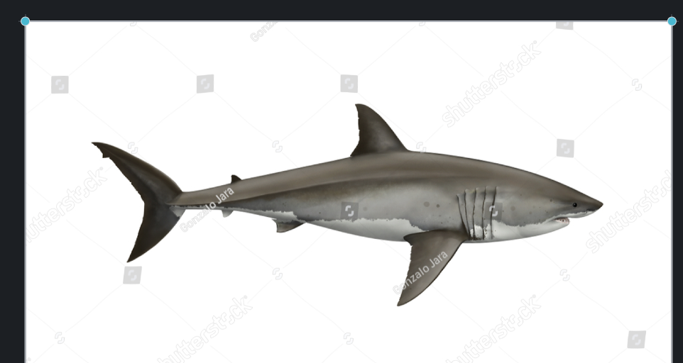 Screen Shot 2019-08-01 at 6.17.02 PM.png