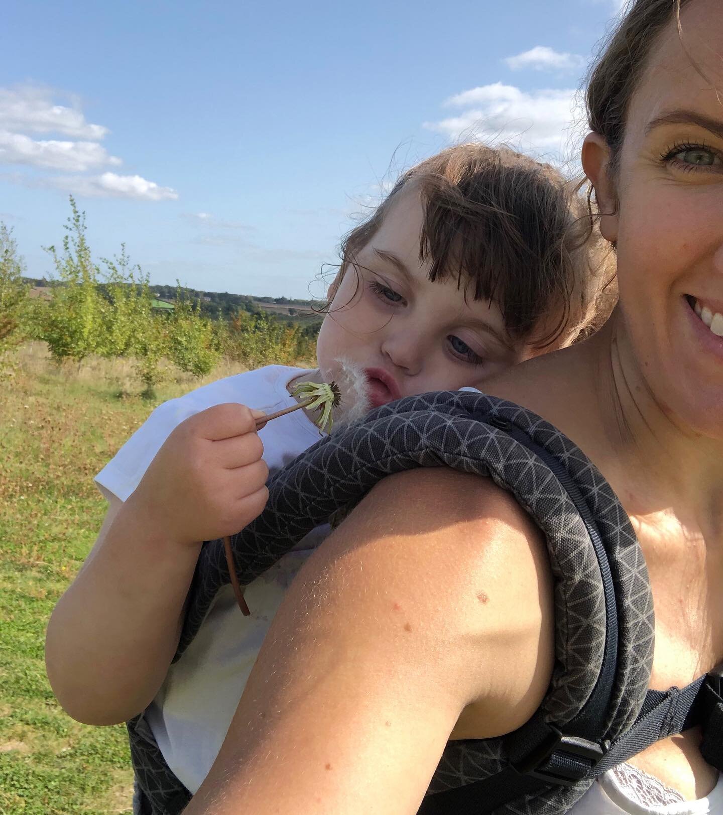 It&rsquo;s the weekend! Hands up if you&rsquo;re planning to explore outside. 🙋&zwj;♀️ We&rsquo;re going to be blowing the last of the dandelions and hunting for early conkers. 🍂 #trailtots

~

#hertfordshiremums #outdoormums #trailmothers #outdoor