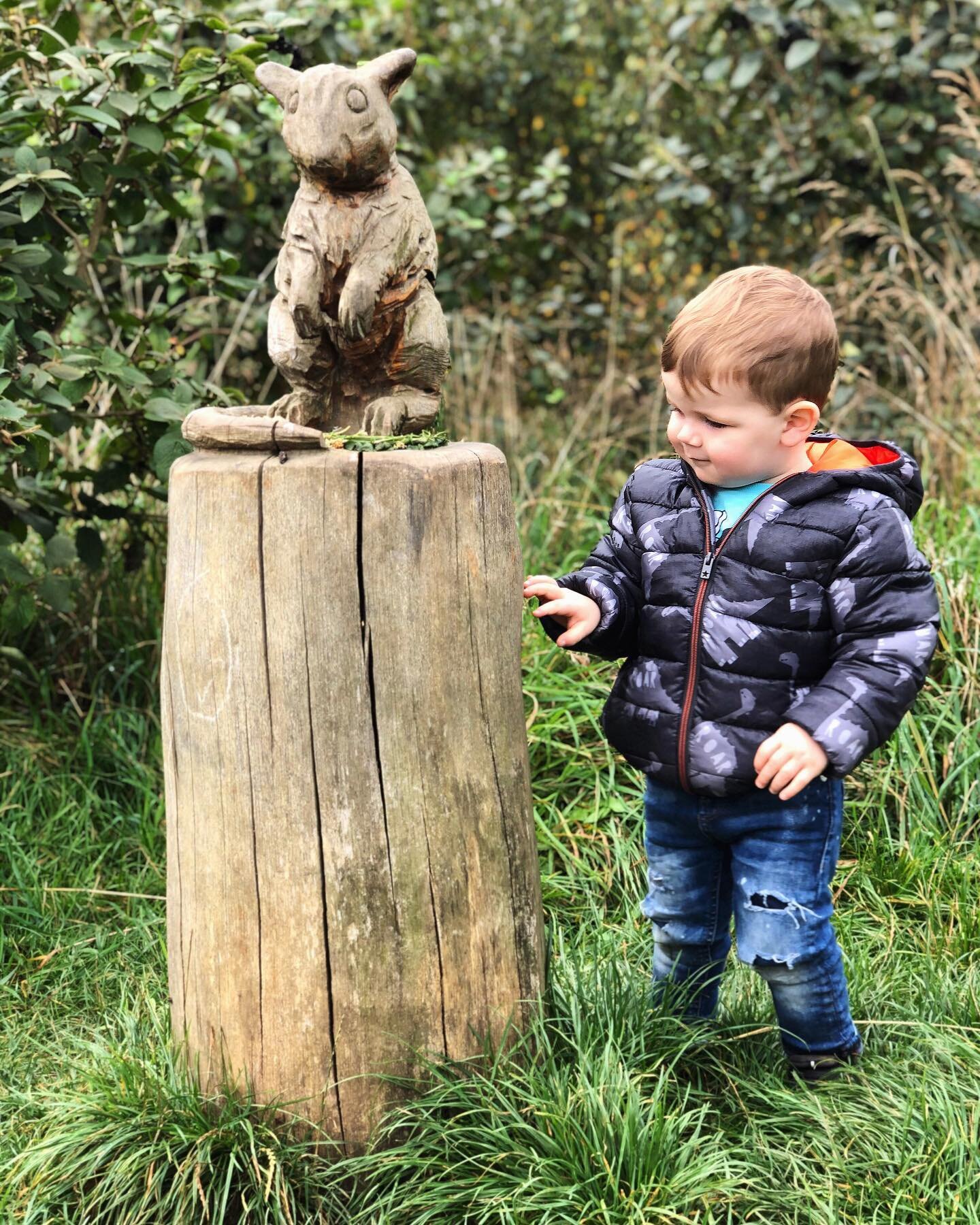 Today&rsquo;s woodland toddle featured owl spotting, badger riding and rabbit jumping! To check out our route and for details of next week&rsquo;s adventure, head to the Trail Tots Facebook group (link in bio). 🍂 #trailtots

________________________