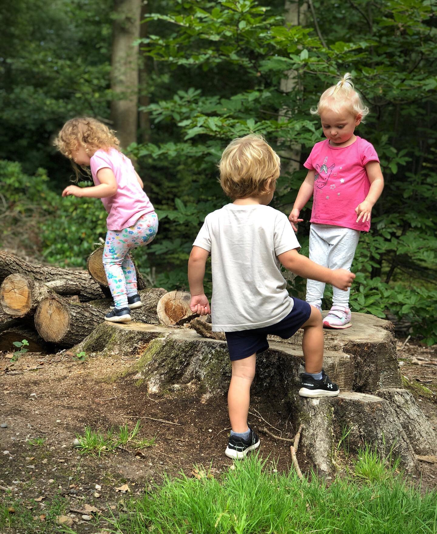 We&rsquo;re back! For the first time since March we got to wander in the woods with some tots and it was just as fun as we remembered. It was great to see those log piles and stumps being used properly! Who&rsquo;s coming next week? 🙋&zwj;♀️ #trailt