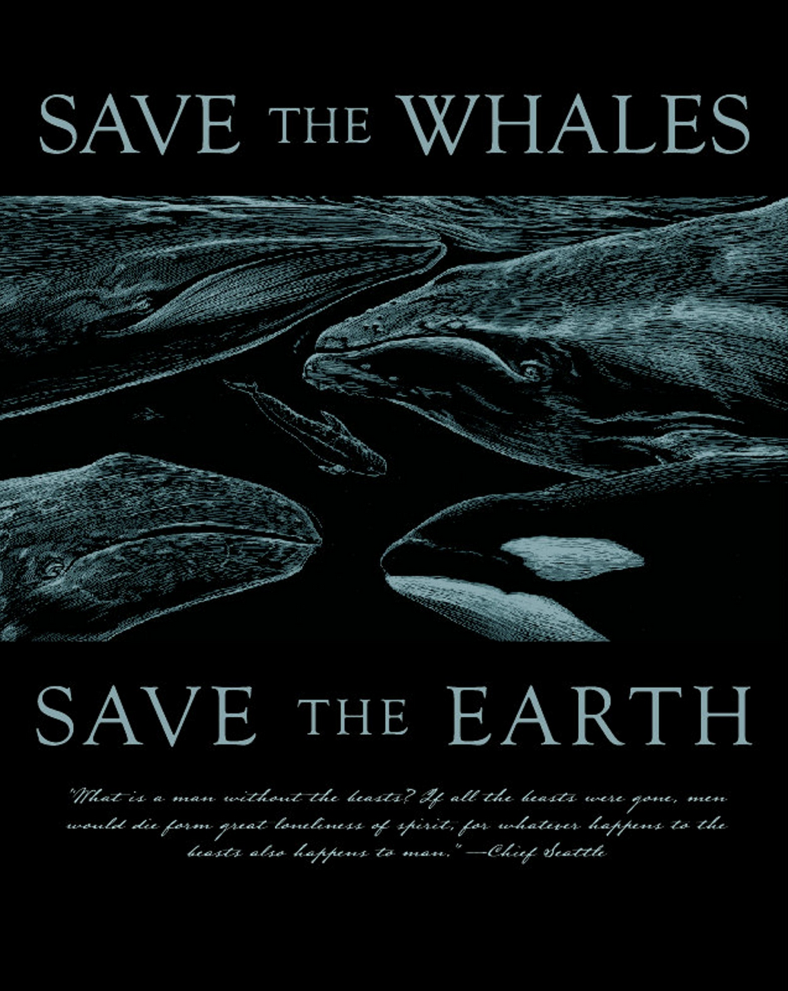 Southern California Cetacean Overview