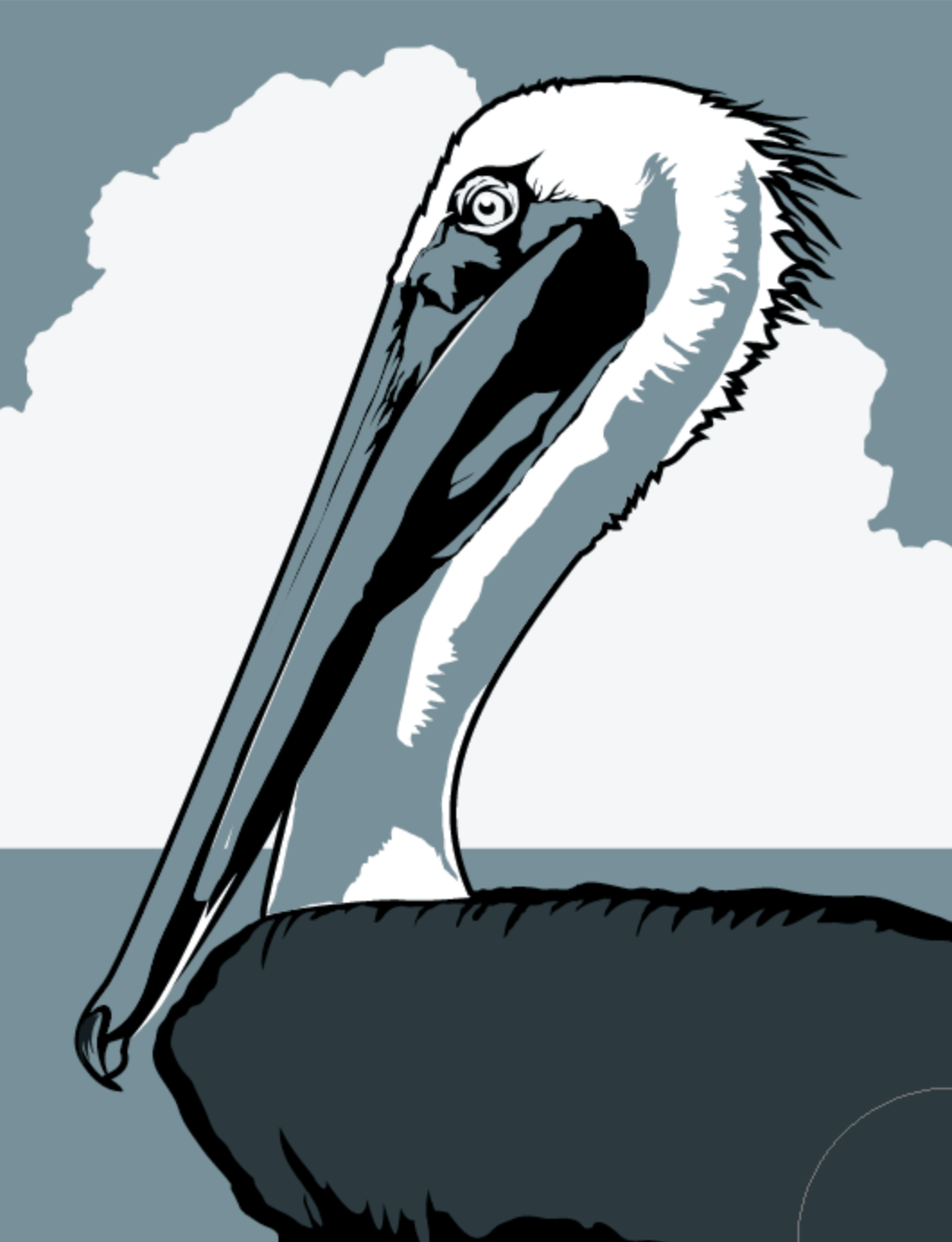 Brown Pelican Vector Illustration