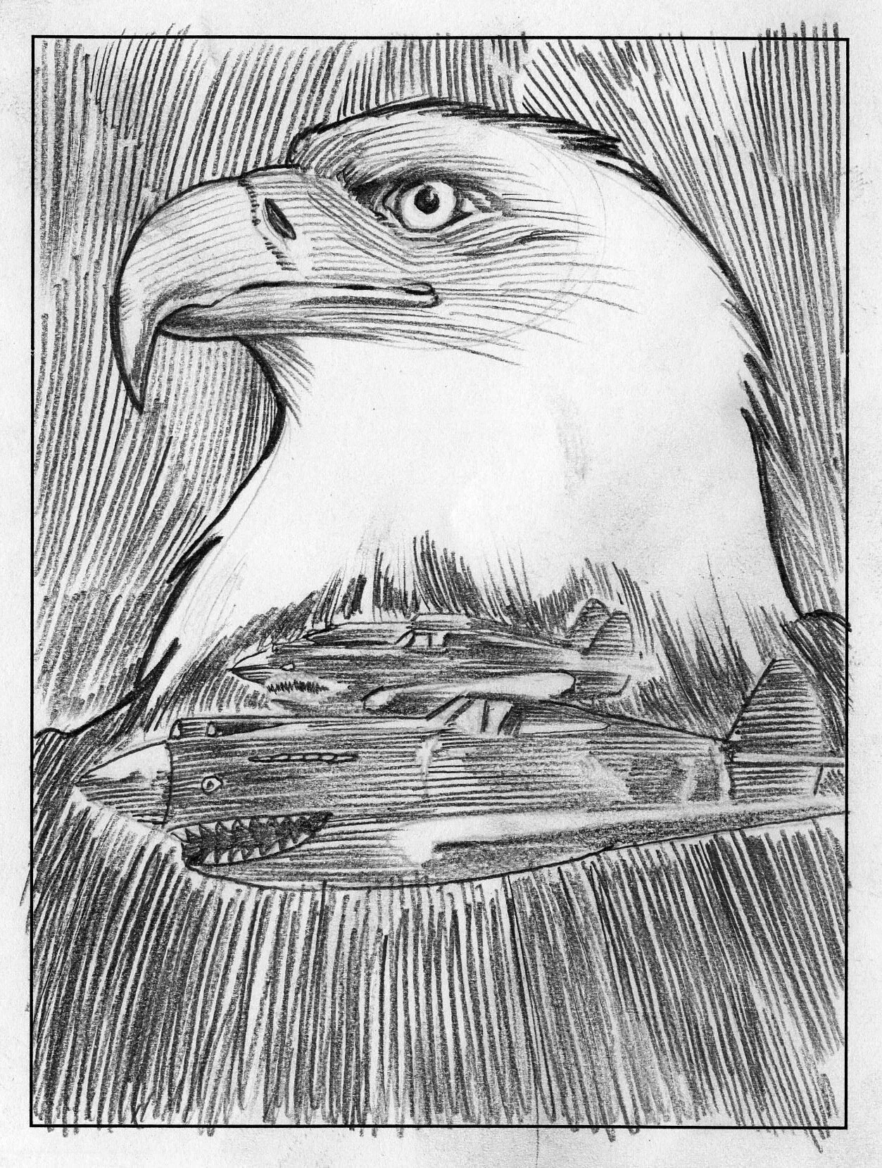 AVG Fights Preliminary Sketch