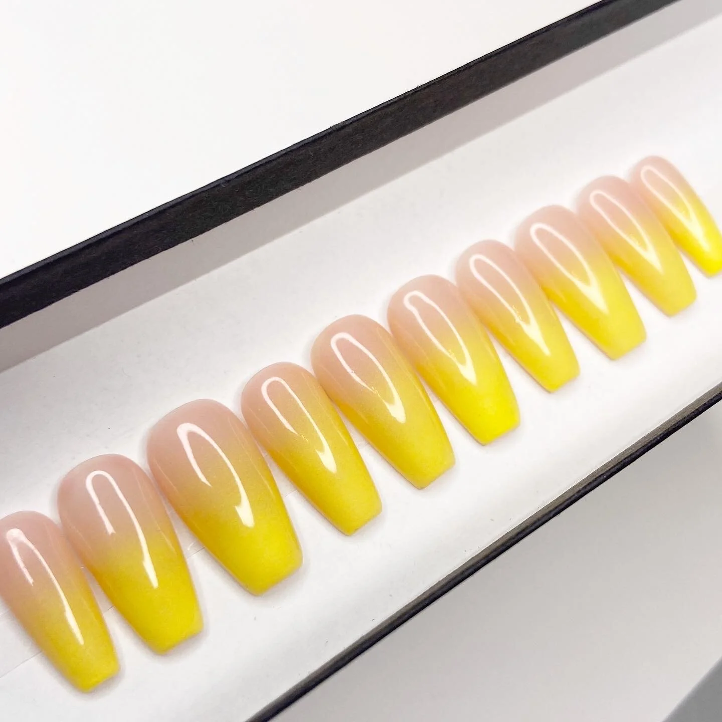 268164D2-58C9-4D5B-9789-83A1410539CC