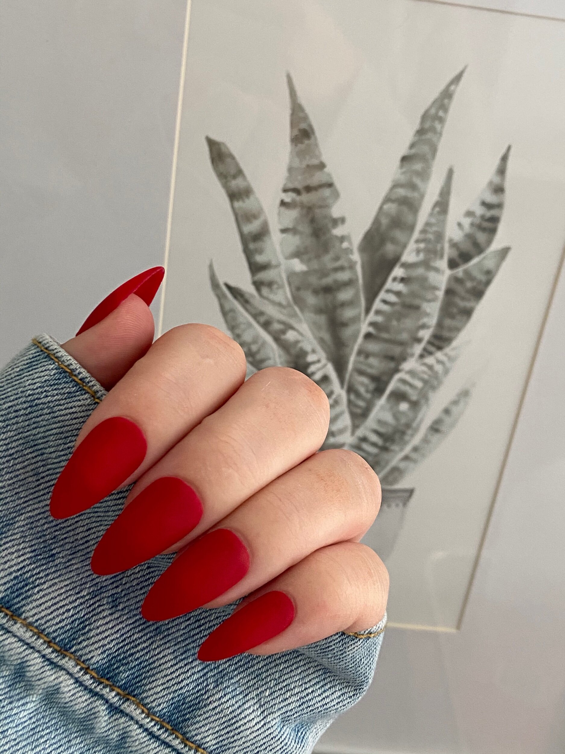 5D03D2B3-88A1-4931-A520-D19EEFBA5638