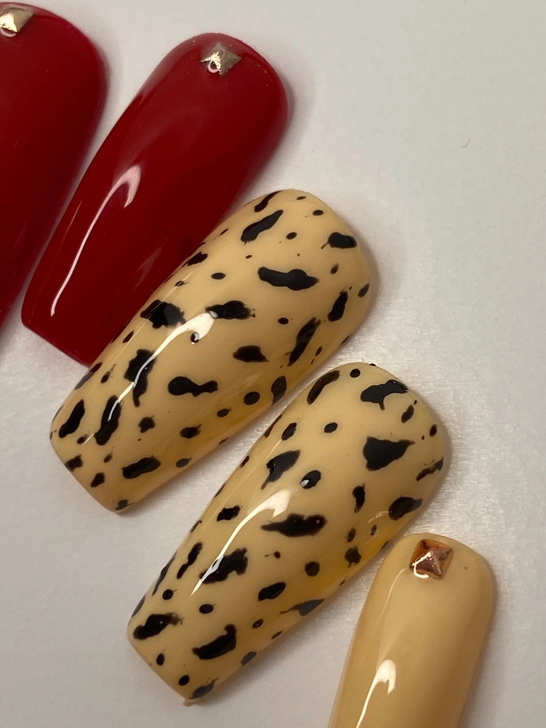 F5EFB129-1DC7-4DF8-915E-EEE533B9CC2A