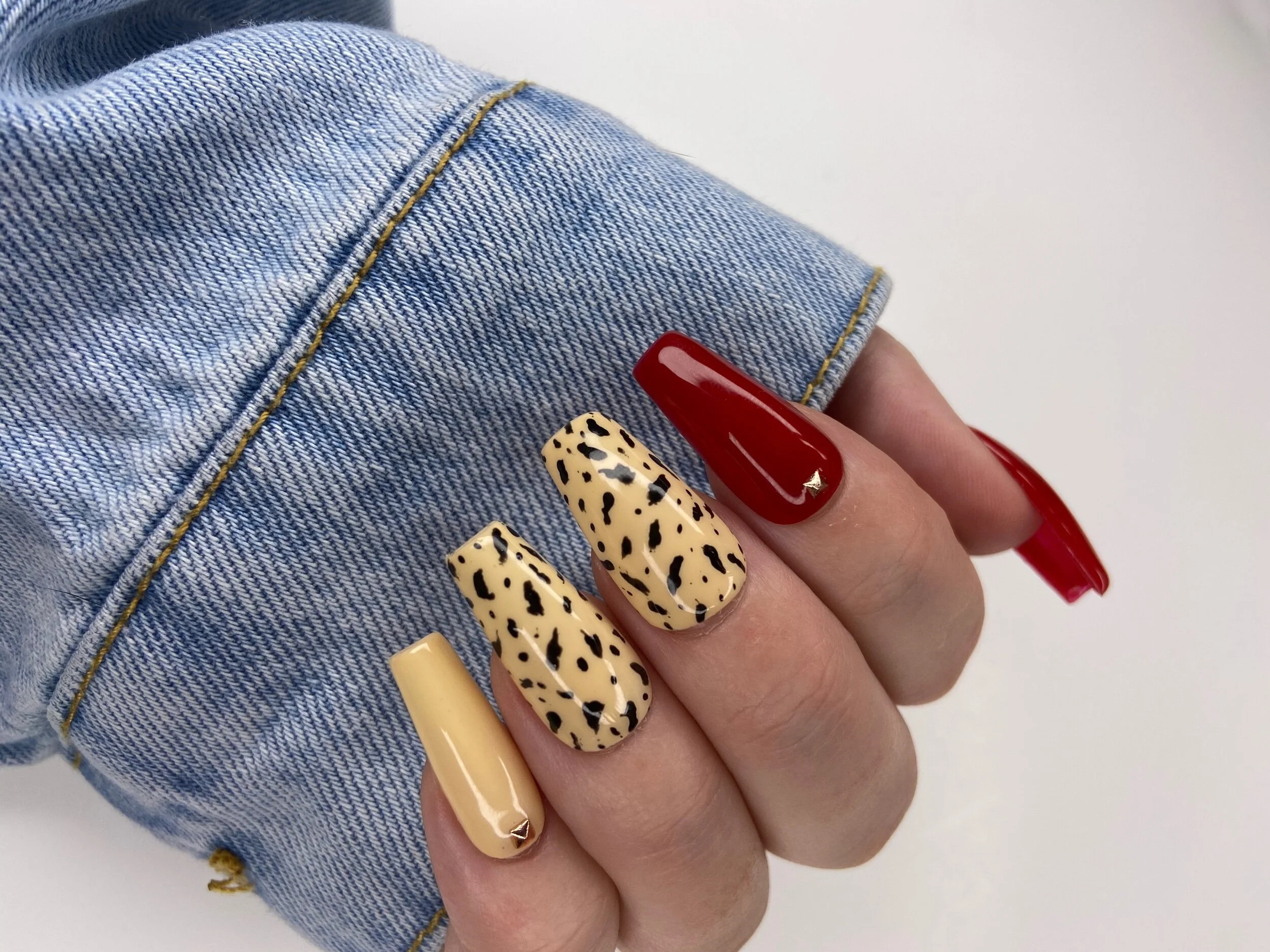 6C81C605-F2CF-4FD1-821E-8D10C55EED3E