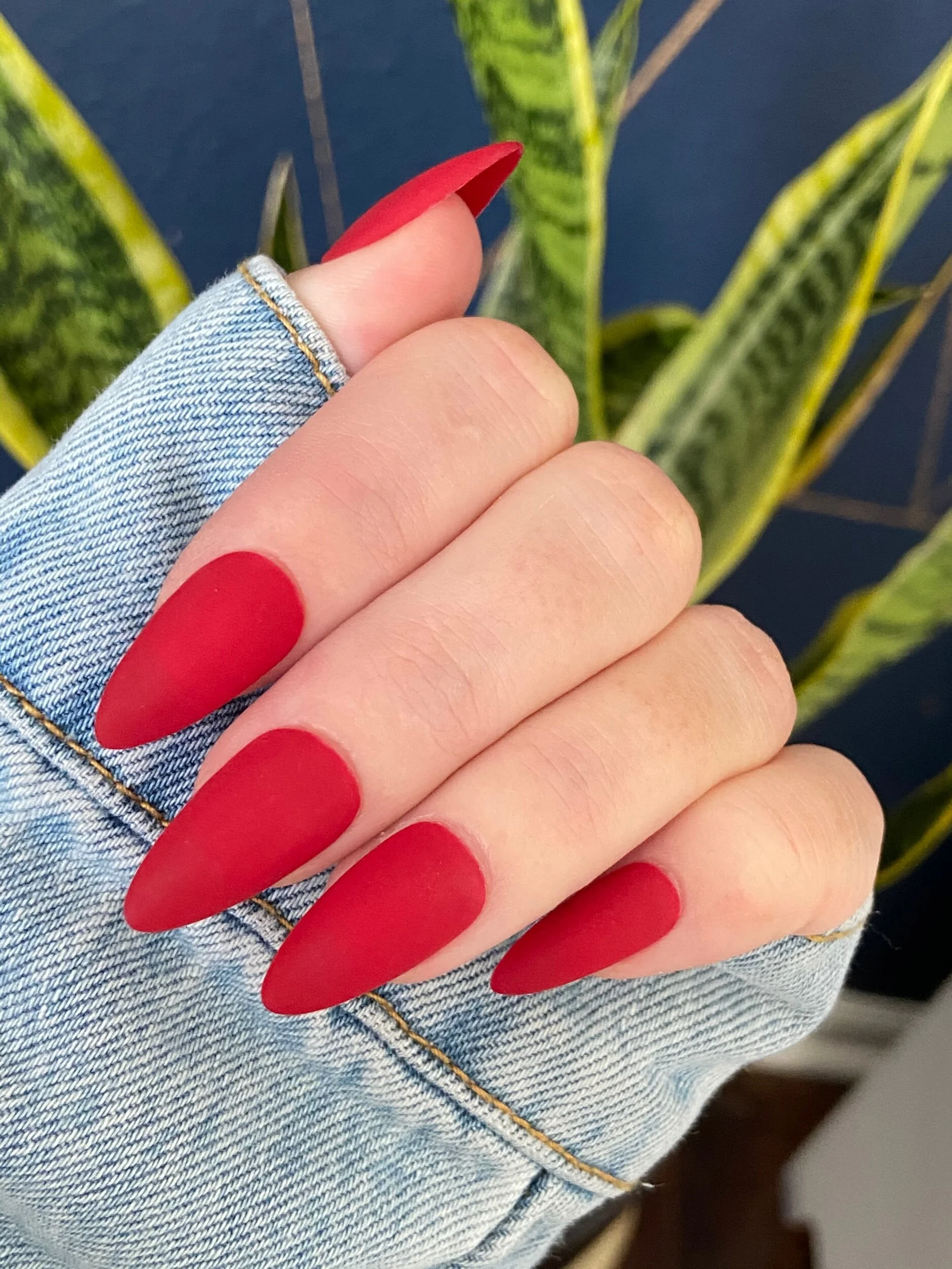 54C8D4BE-2A32-4504-A5CF-EC960008DDCD