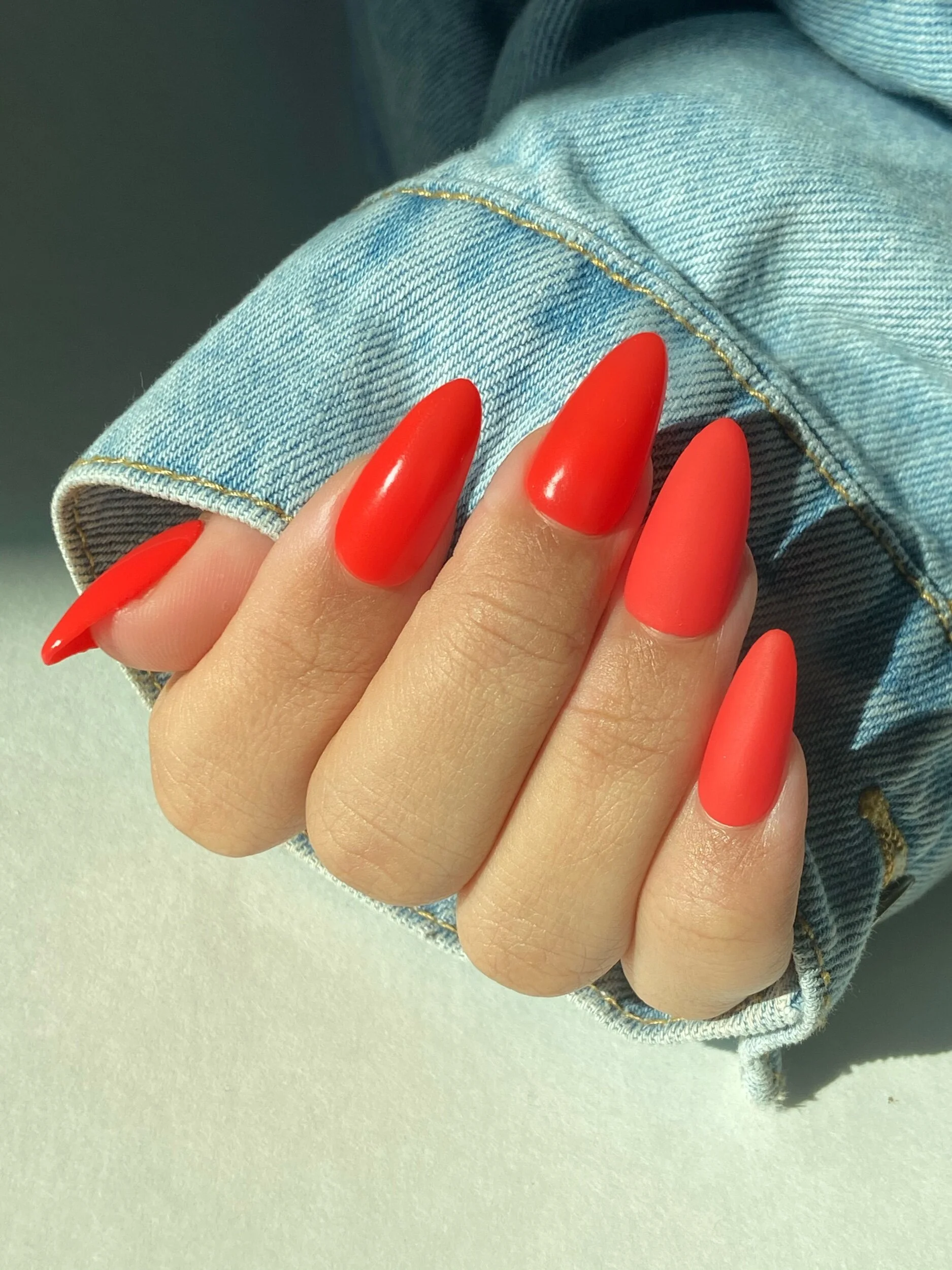 4C4948B2-E15B-459B-9818-2DA20982BB72