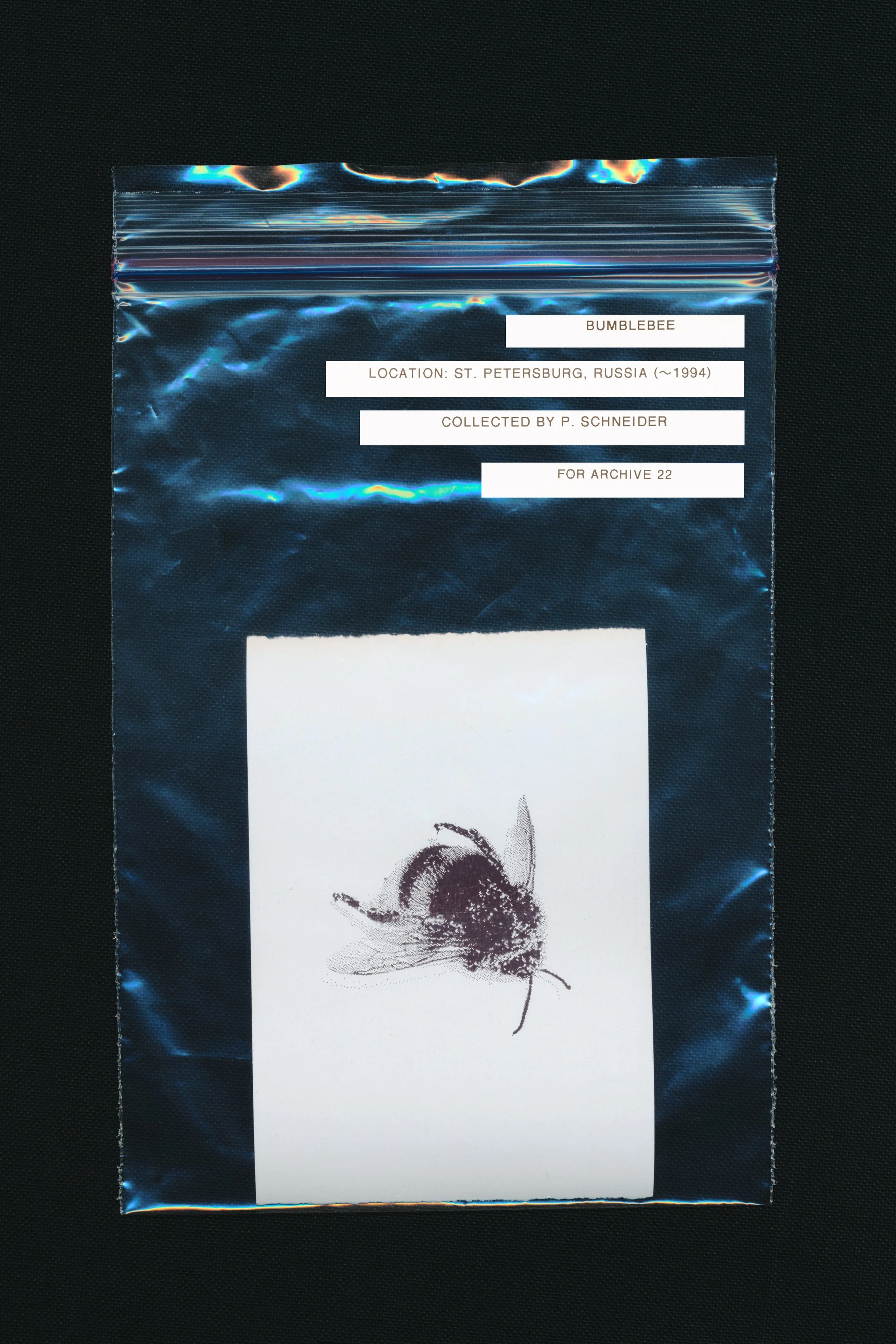 PS_LC_CB_Bumblebee.jpg