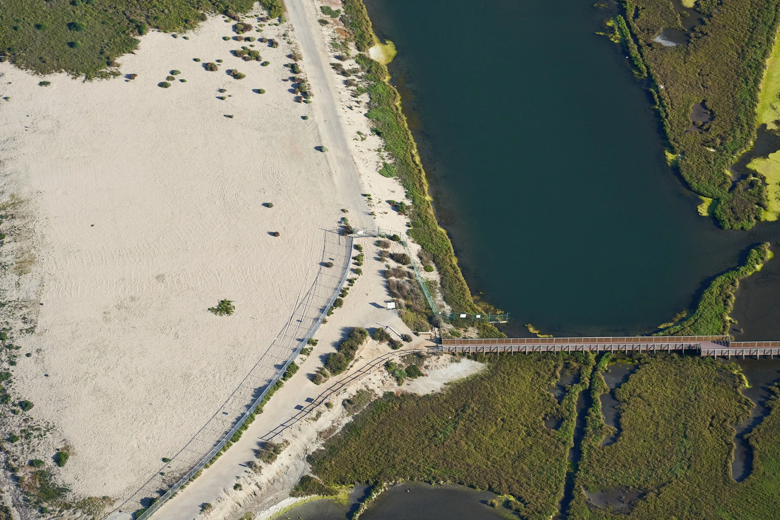 Nest Site 1-North at Bolsa Chica Ecological Reserve in Huntington Beach, California.