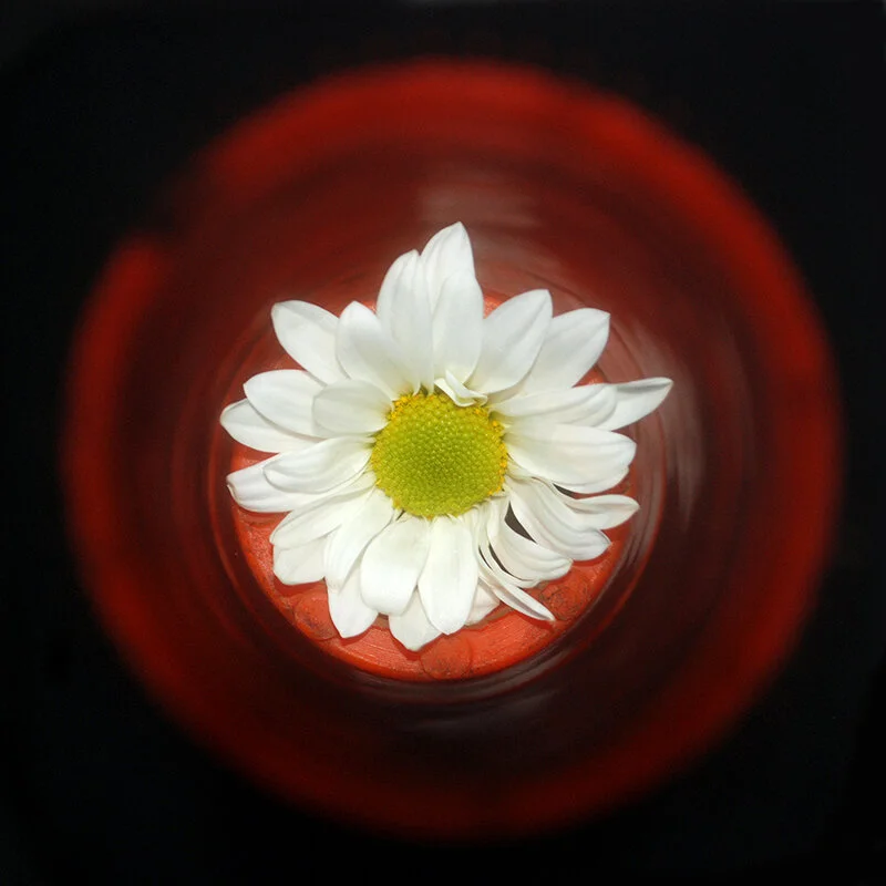  D09-4788  Inkjet Print  12 x 12 Inches 