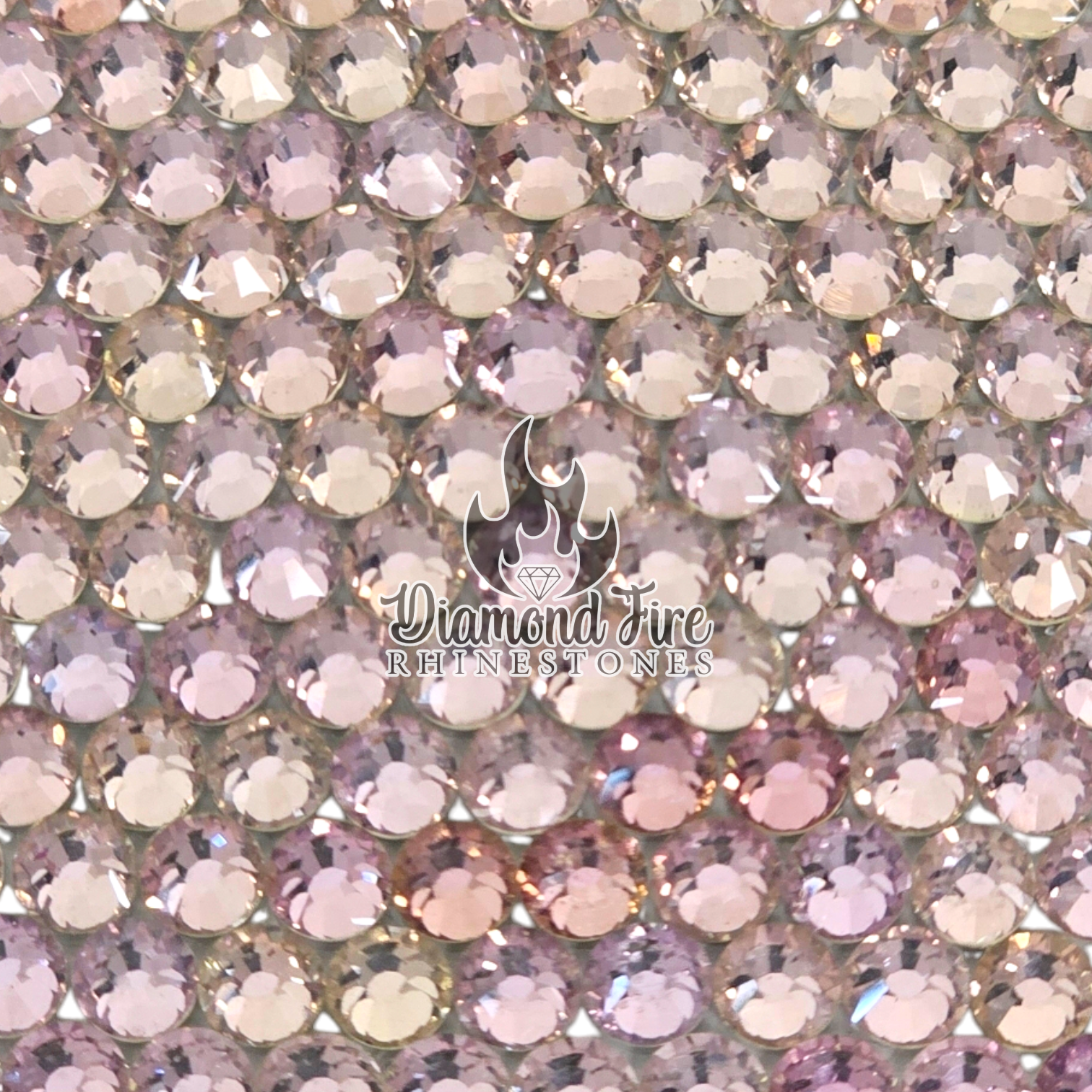 Photoroom-20240816_090842_1.png