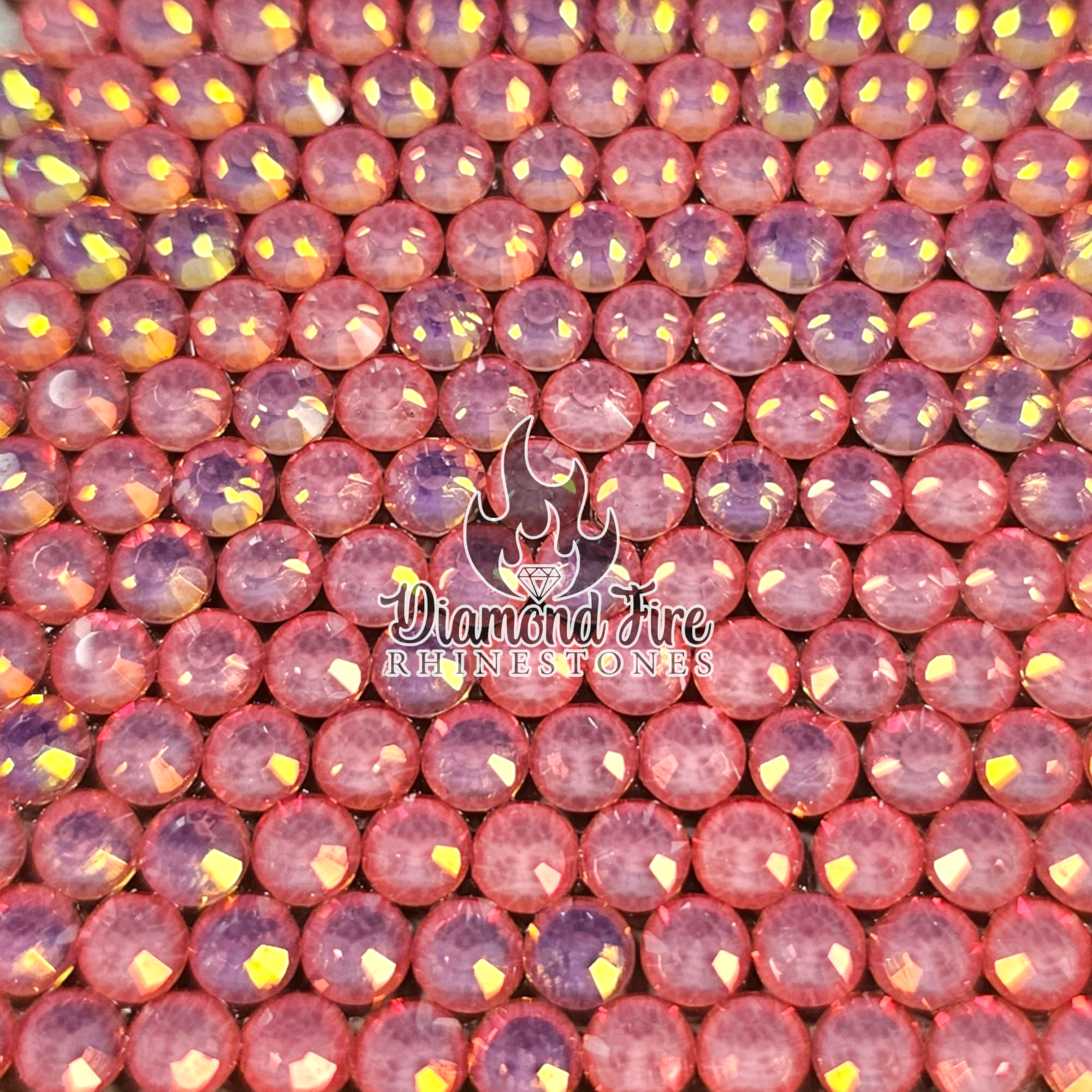 Photoroom-20241010_131647_2.png