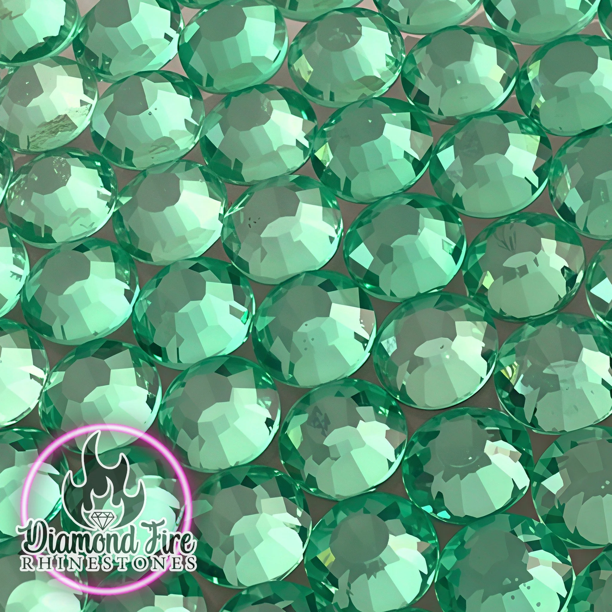 WINTERGREEN  (1).jpg
