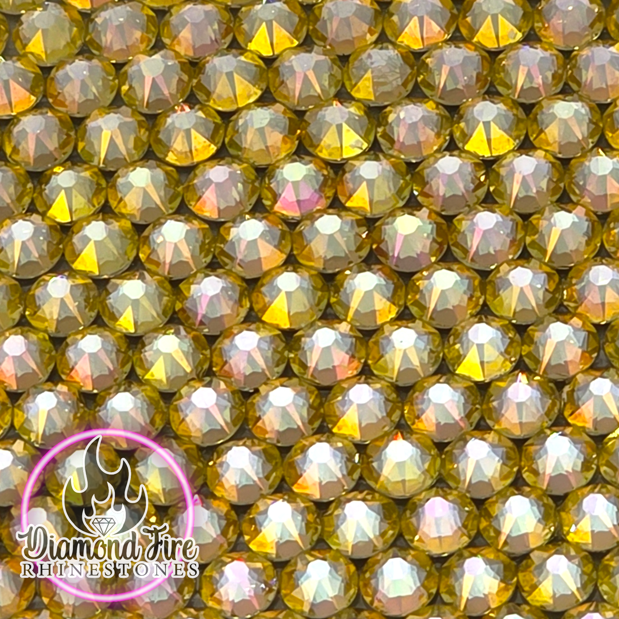 GOLDEN WATER LILY.png