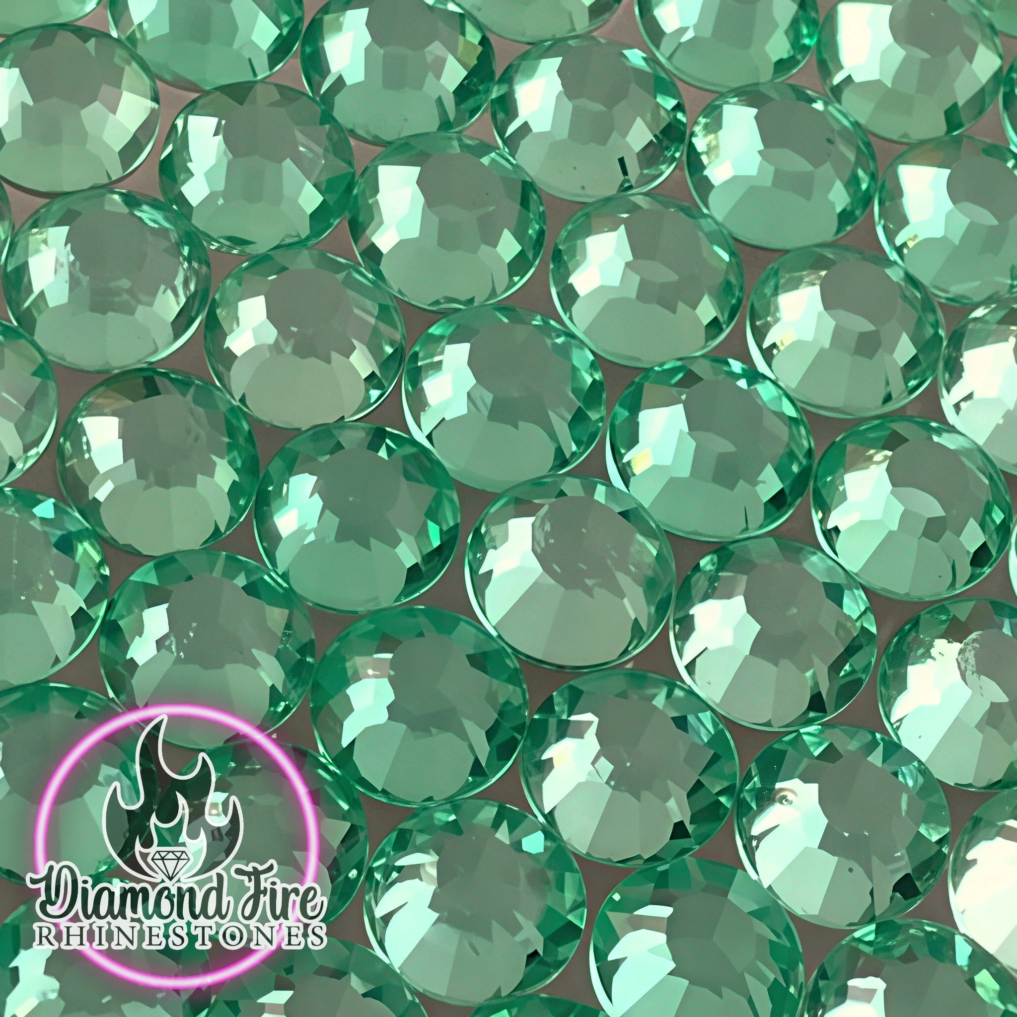 WINTERGREEN  (2).jpg