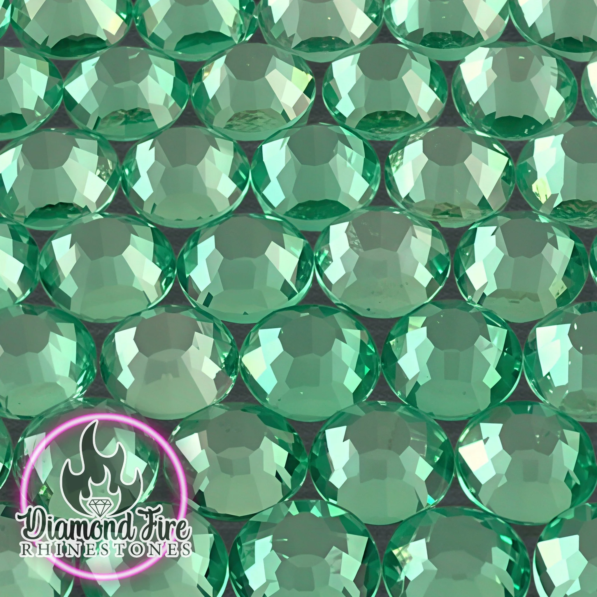 WIINTERGREEN.jpg