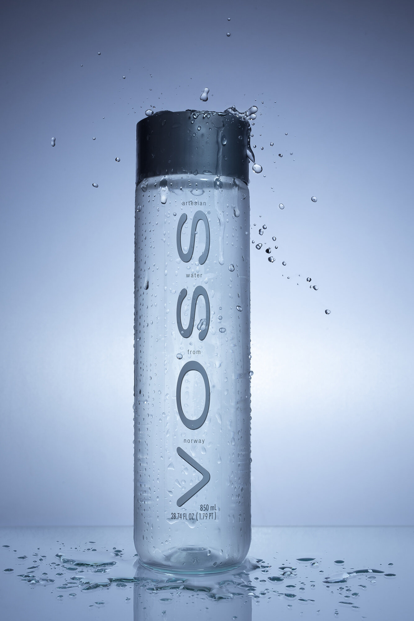 Voss.jpg