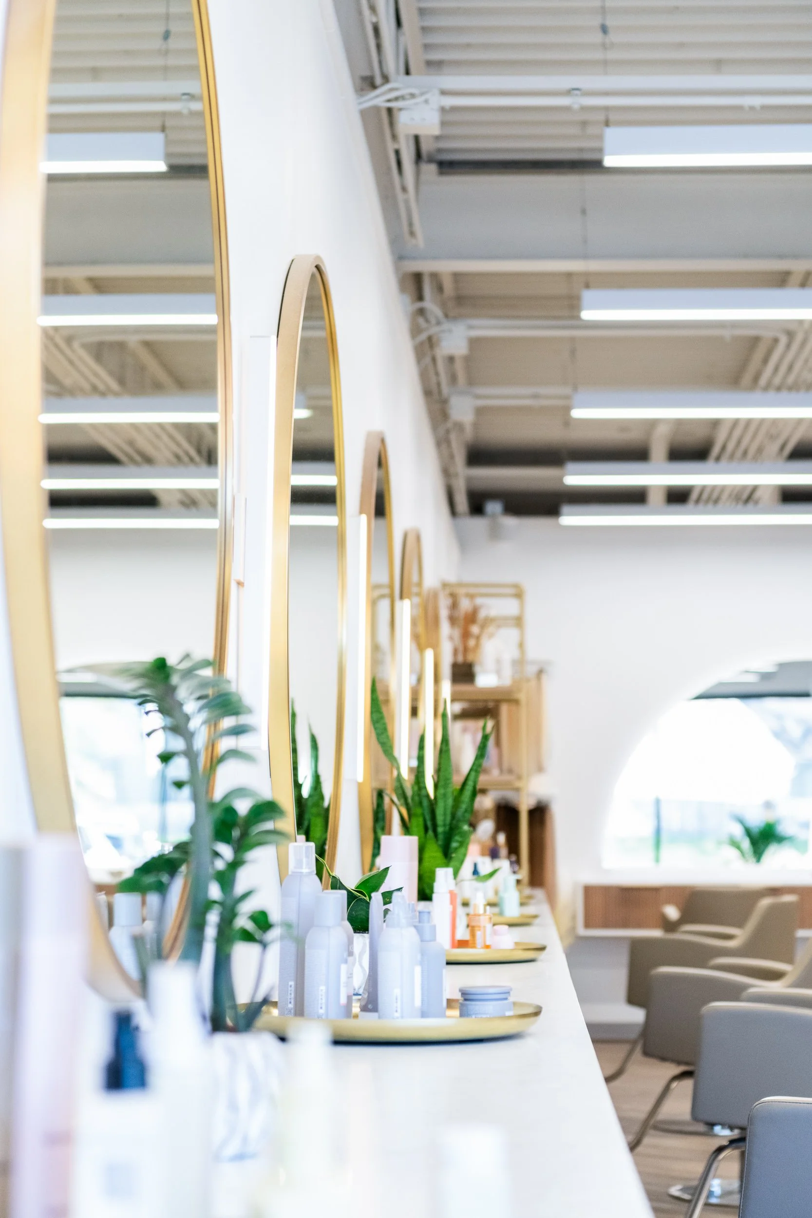Styling station detail with gold-framed mirror, salon products, and greenery at Hyde Salon