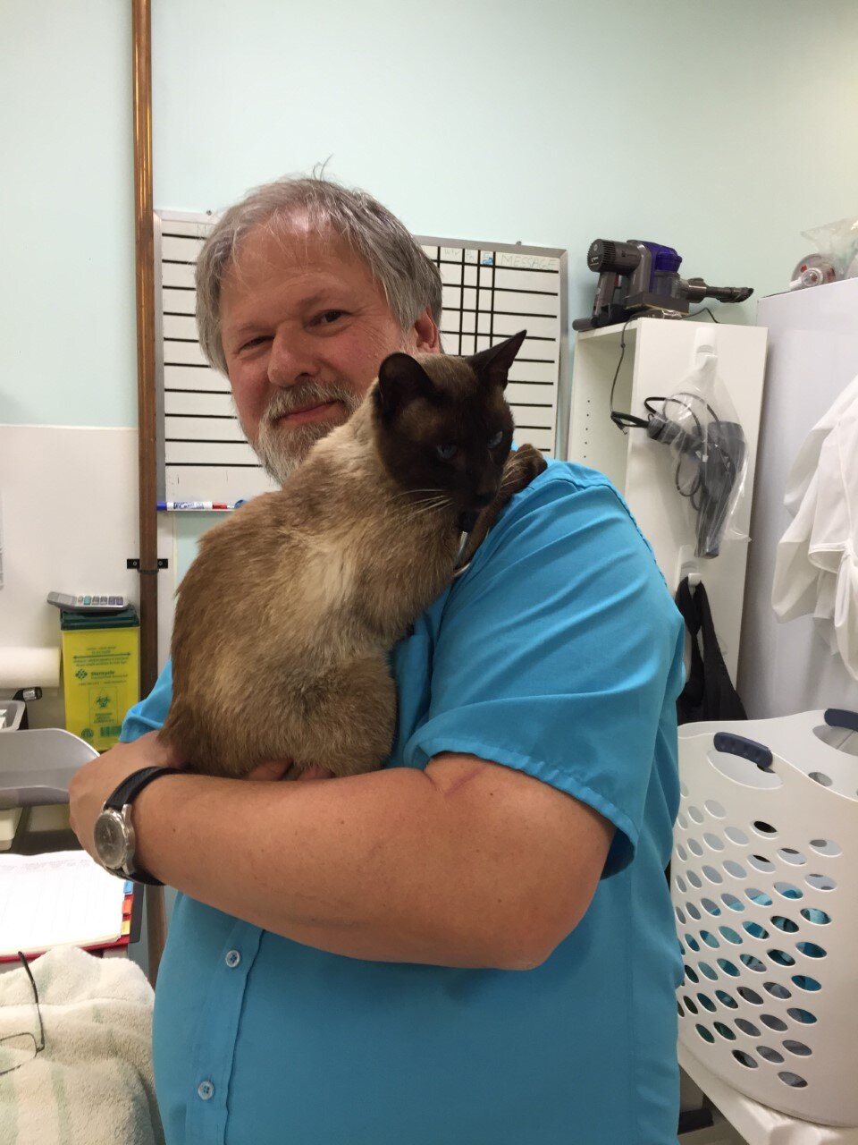 Siamese cat and vet.jpg