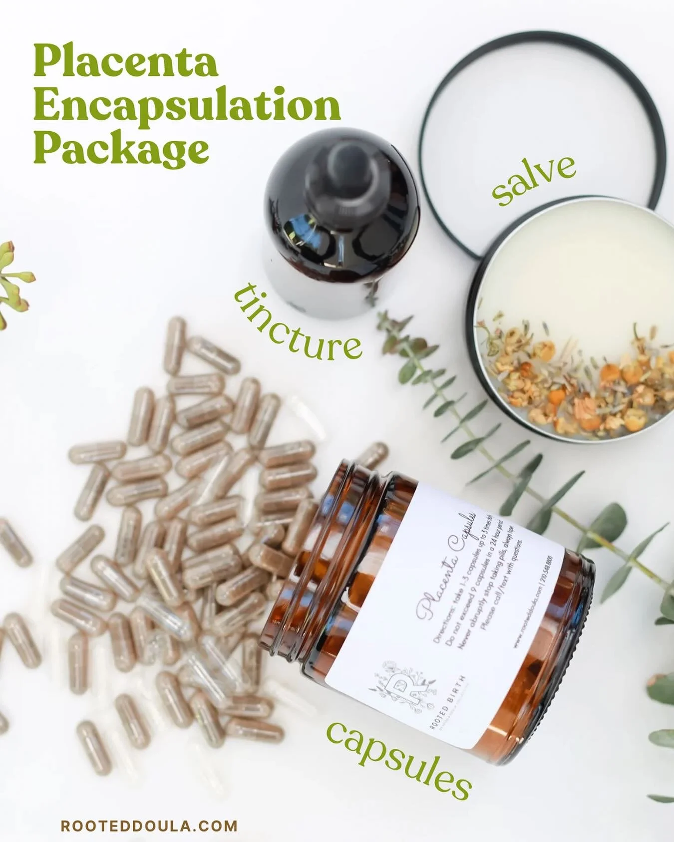 A little look at what our placenta encapsulation package includes!*
🌳 encapsulated placenta: these are where the bulk of your amazing placenta goes, and you take them orally just like any other supplement! Some proposed benefits are: supporting lact
