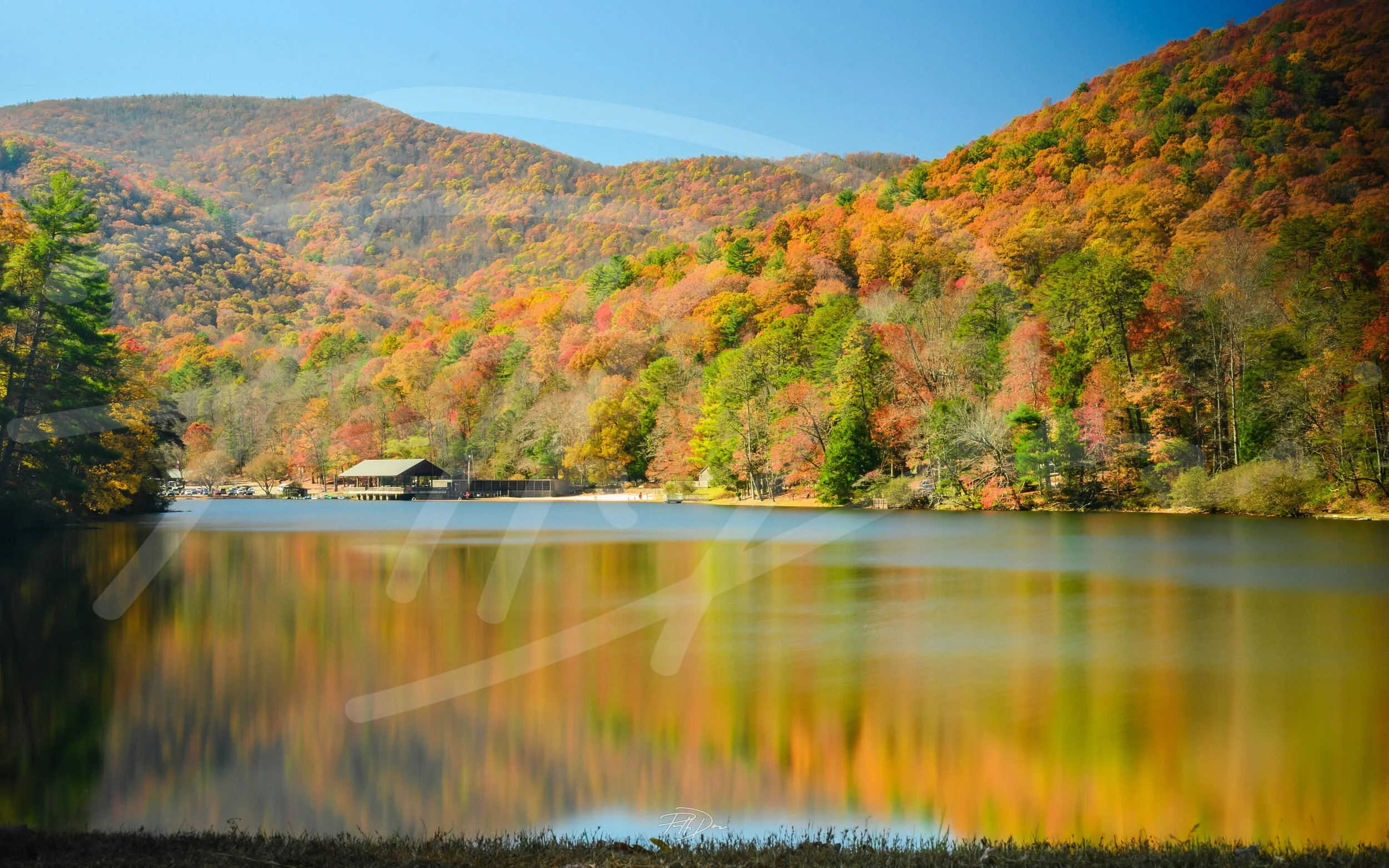 Foliage.jpg