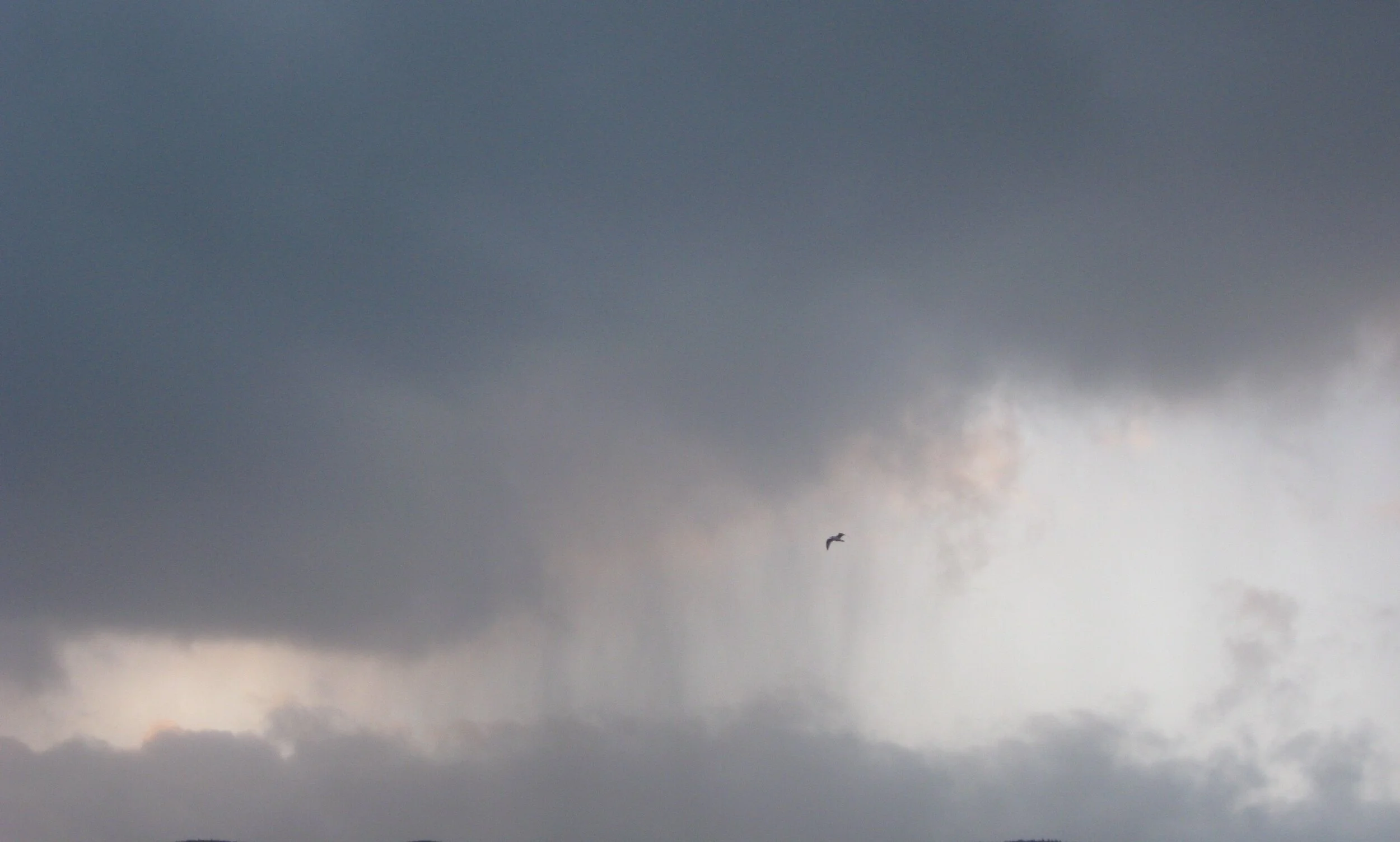 January Was a Great Month for Rain Collection!