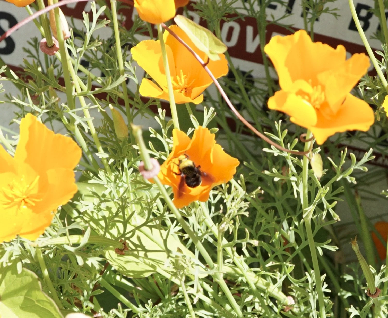 The Foods We Eat and The Recipe We Make