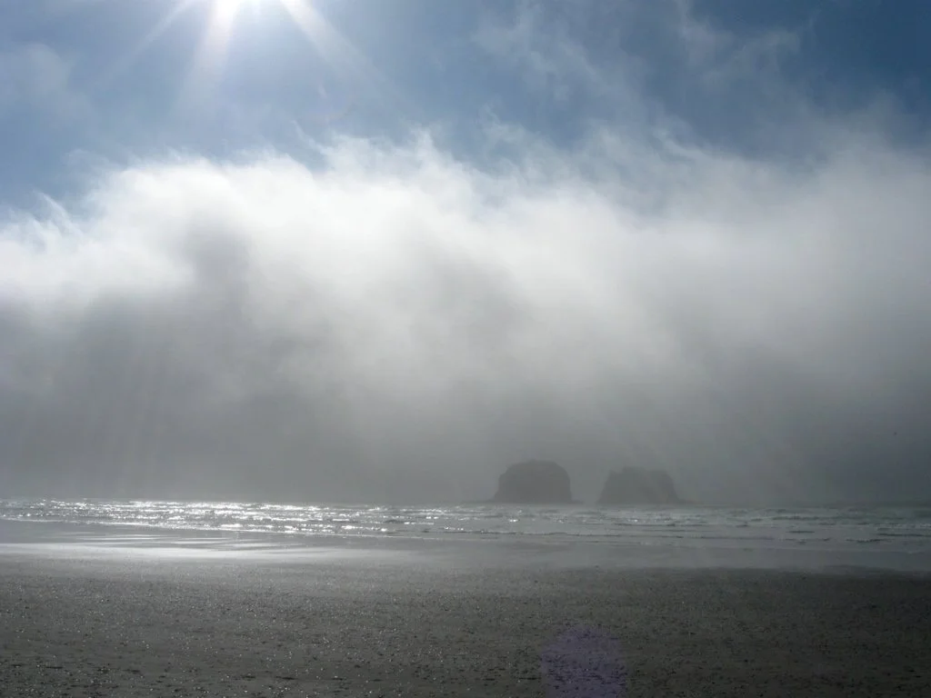  2026  January: Rain: 1-11; Dew: 12, 13: Rain: 14; Dew: 15-21; Rain: 22; Dew: 23-25. 