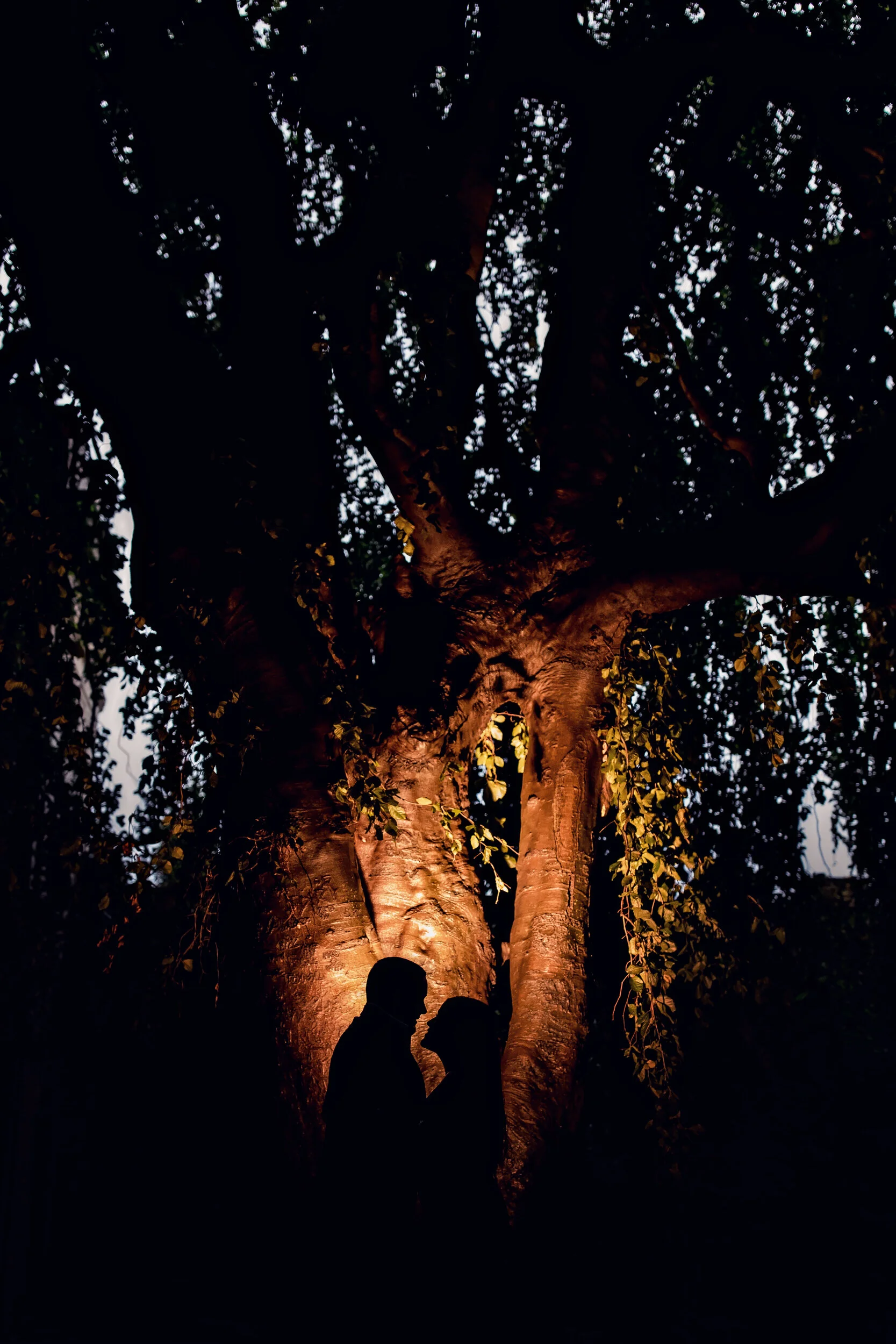 Ambar & Saul-133.jpg
